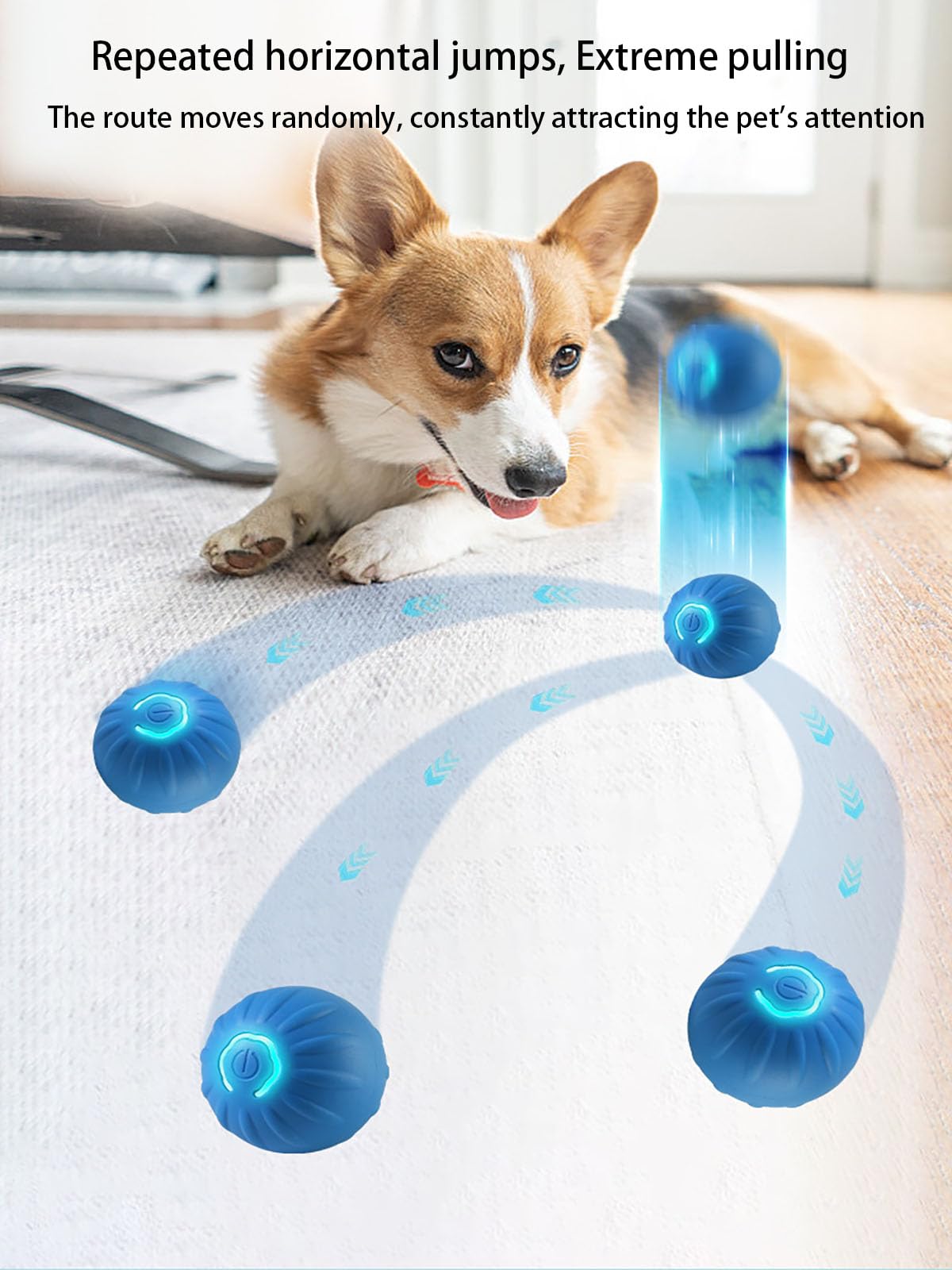 Winb Interactive Led Dog Ball (2 Inch)- Usb Rechargeable Motion-Activated Rolling Toy For Small Dogs, Dogs Ball Play And Wicked