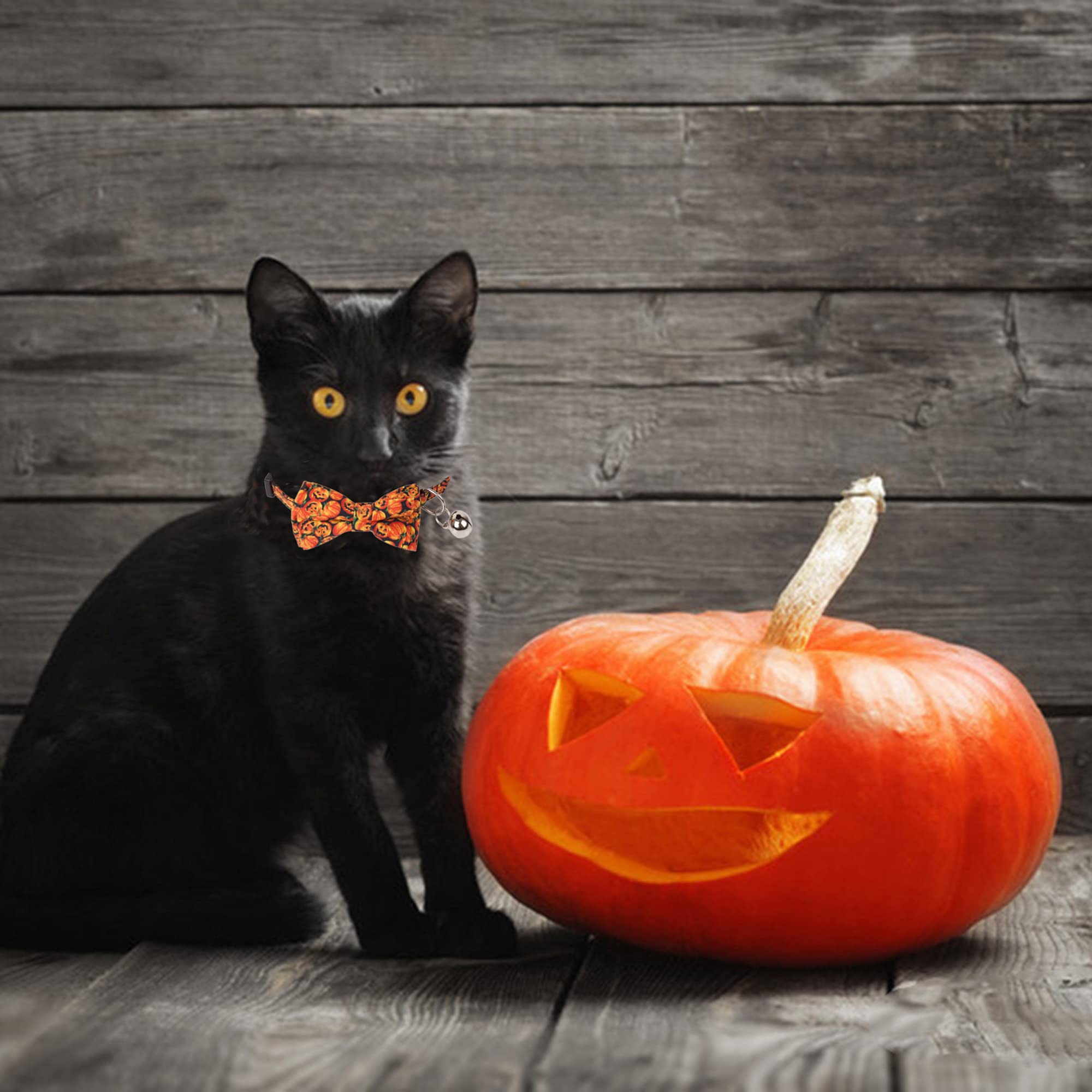 Adoggygo Halloween Cat Collar Breakaway With Bowtie Bell - 2 Pack Kitten Collar Skull Pumpkin Cat Collars With Removable Bowtie Cat Bow Collar For Cat Kitten (Halloween)