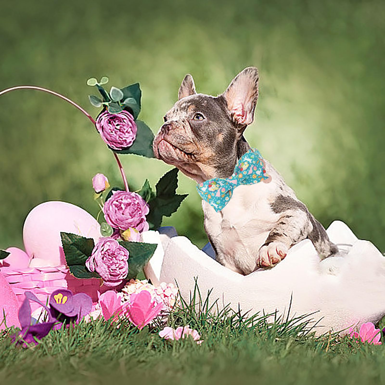 Dogwong Easter Dog Bow Tie With Collar, Spring Holiday Bunny Eggs Dog Collar For Boys And Girls Large Medium Pets Puppies