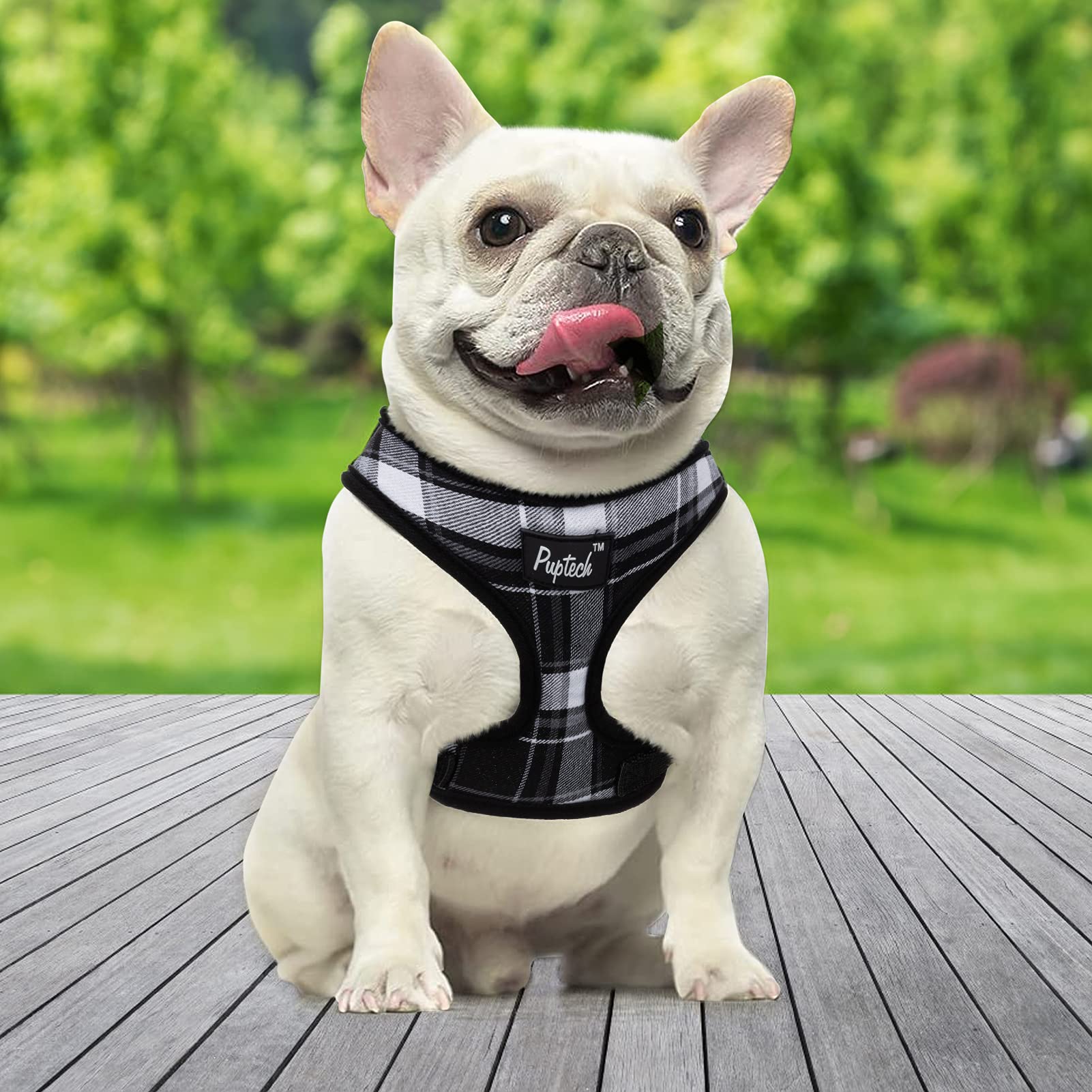 PUPTECK Soft Mesh Dog Harness - Medium Comfort Padded Vest, Black, No Pull, Model BH001BW_M, Ideal for Puppies and Cats
