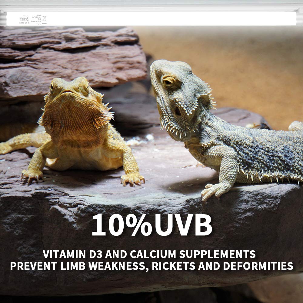 Lucky Herp 18Inch 15W T8 Uvb 10.0 Reptile Light, Uva Uvb Bulb, Fluorescent Lamp For Reptiles Amphibian