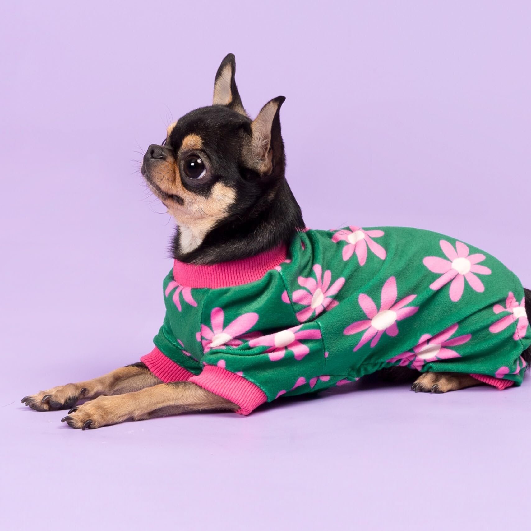 Fitwarm Flower Fleece Dog Pajamas, Warm Winter Dog Clothes For Small Dogs Girl, Cozy Pet Onesie With Feet, Dark Green, Xs