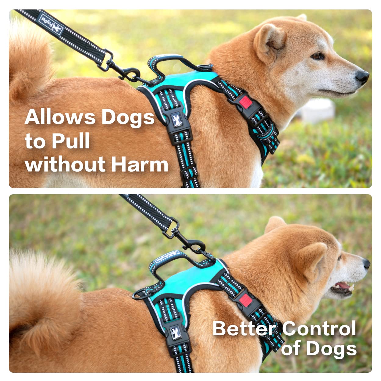 Poypet No Pull Dog Harness, No Choke Front Clip Reflective Dog Vest With Soft Padded Vertical Handle, 3 Leash Attachments For Sm