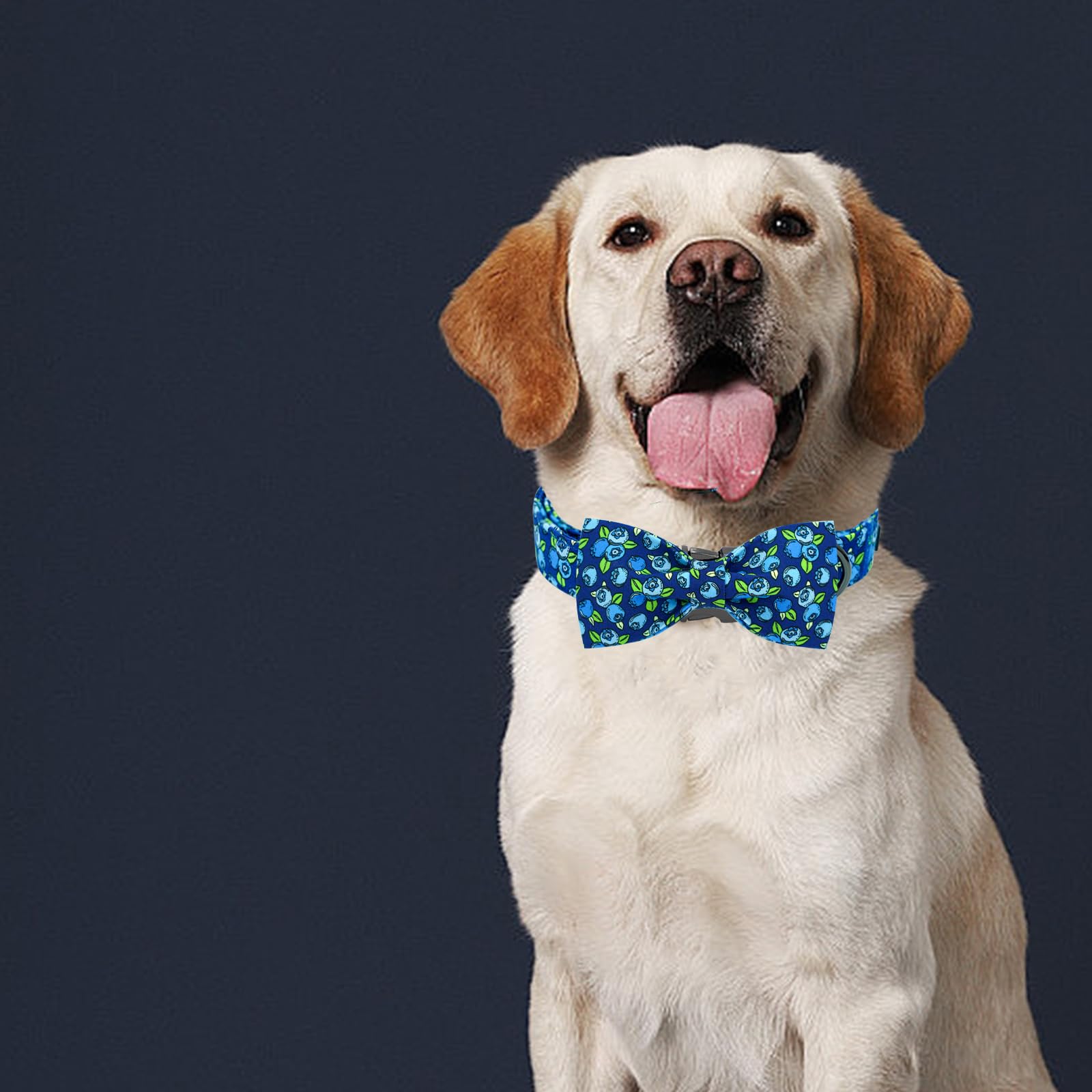 Elegant Little Tail Dog Collar- Cute Blueberry Dog Collar With Bow For Large Dogs, Male Adjustable Cotton Summer Pet Bow Holiday