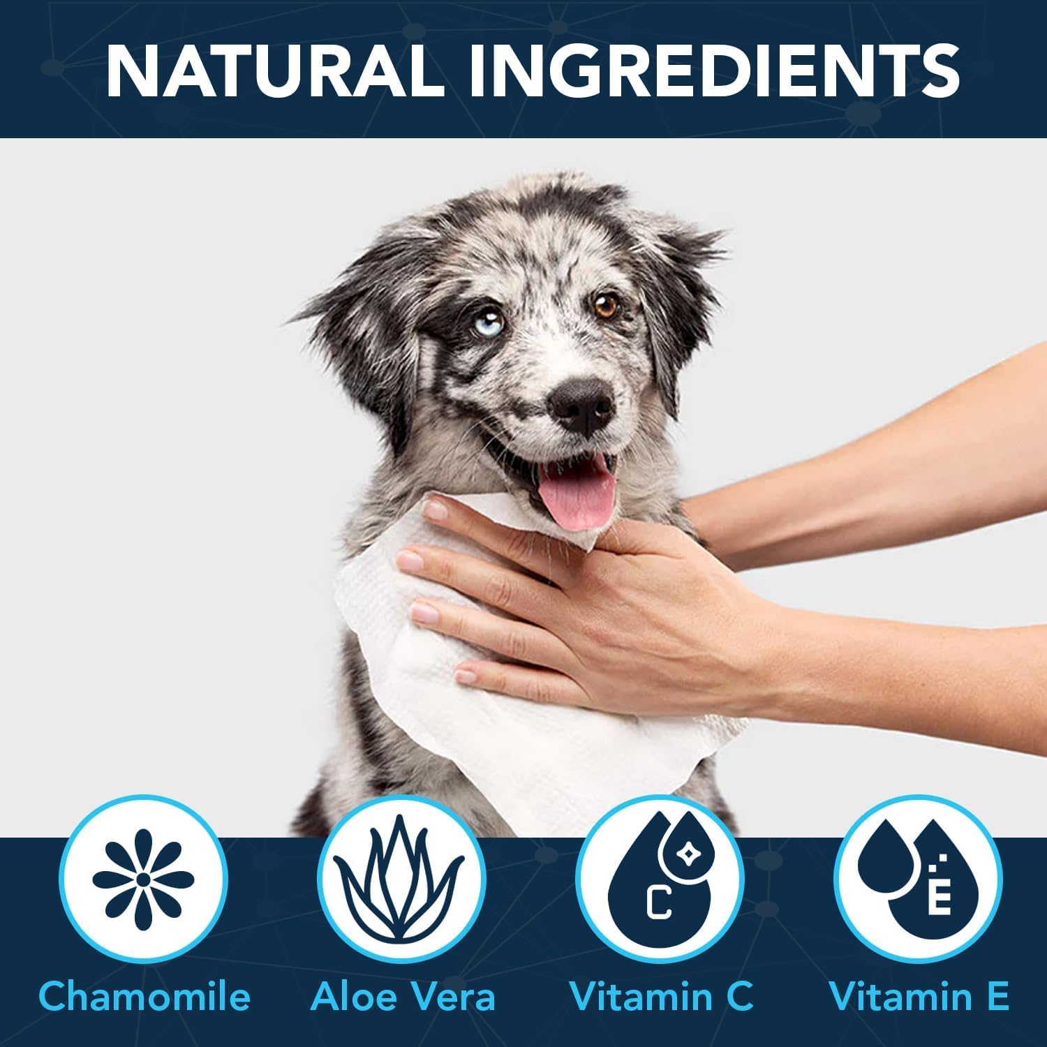 Noveha Dog Wipes - Odor Eliminating And Cleaning Grooming Wipes For Dog'S Paws, Body, And Butt - Perfect For Puppy And Adult Dog