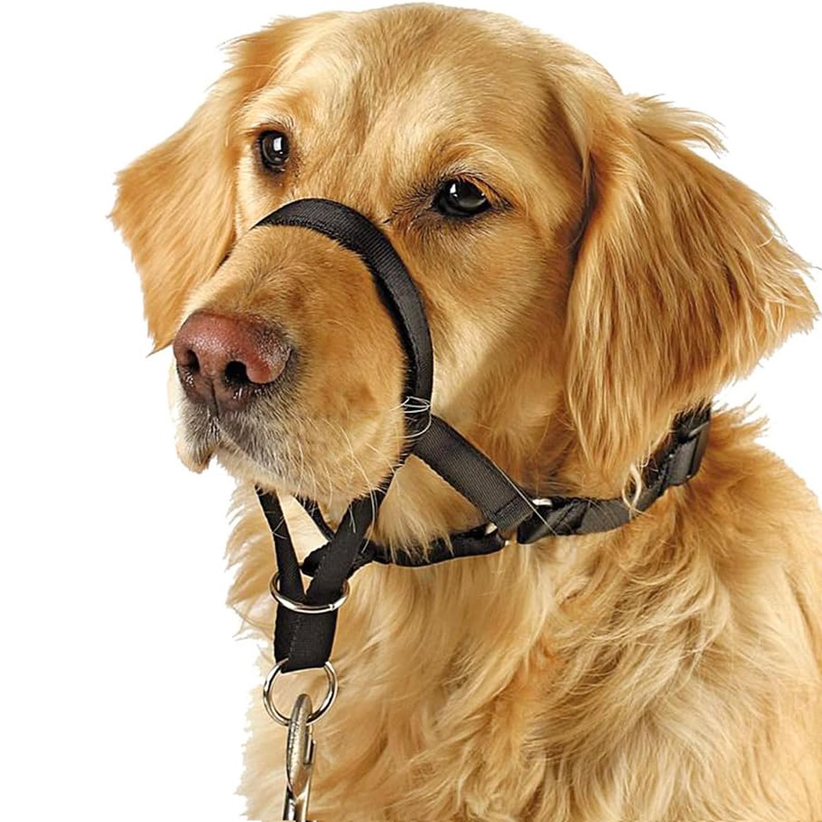 Barkless Soft Dog Head Collar, No Pull Training Tool For Small Medium Large Dogs On Walks, Gentle Training Collar And Control Fo