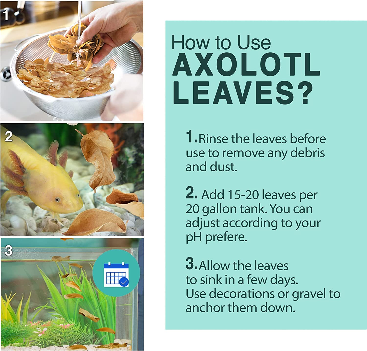 SunGrow 10 Pack Axolotl Indian Almond Leaves for Aquarium, 5-Inches, Catappa Leaf Soothes Pets Slime Skin, Aquarium Water Condit