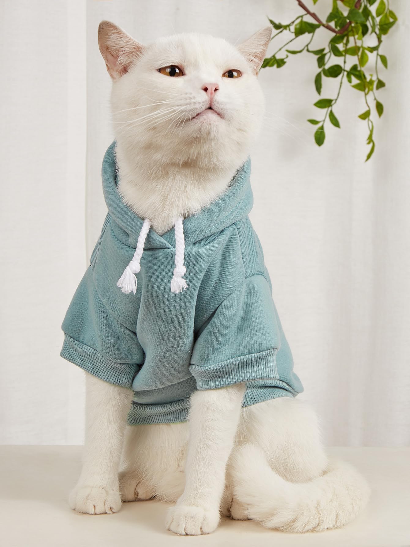Qwinee 2Pcs Basic Dog & Cat Hoodie, Warm Jacket, Shirt & Clothes For Puppy Kitten Small Medium X-Large Pink & Green