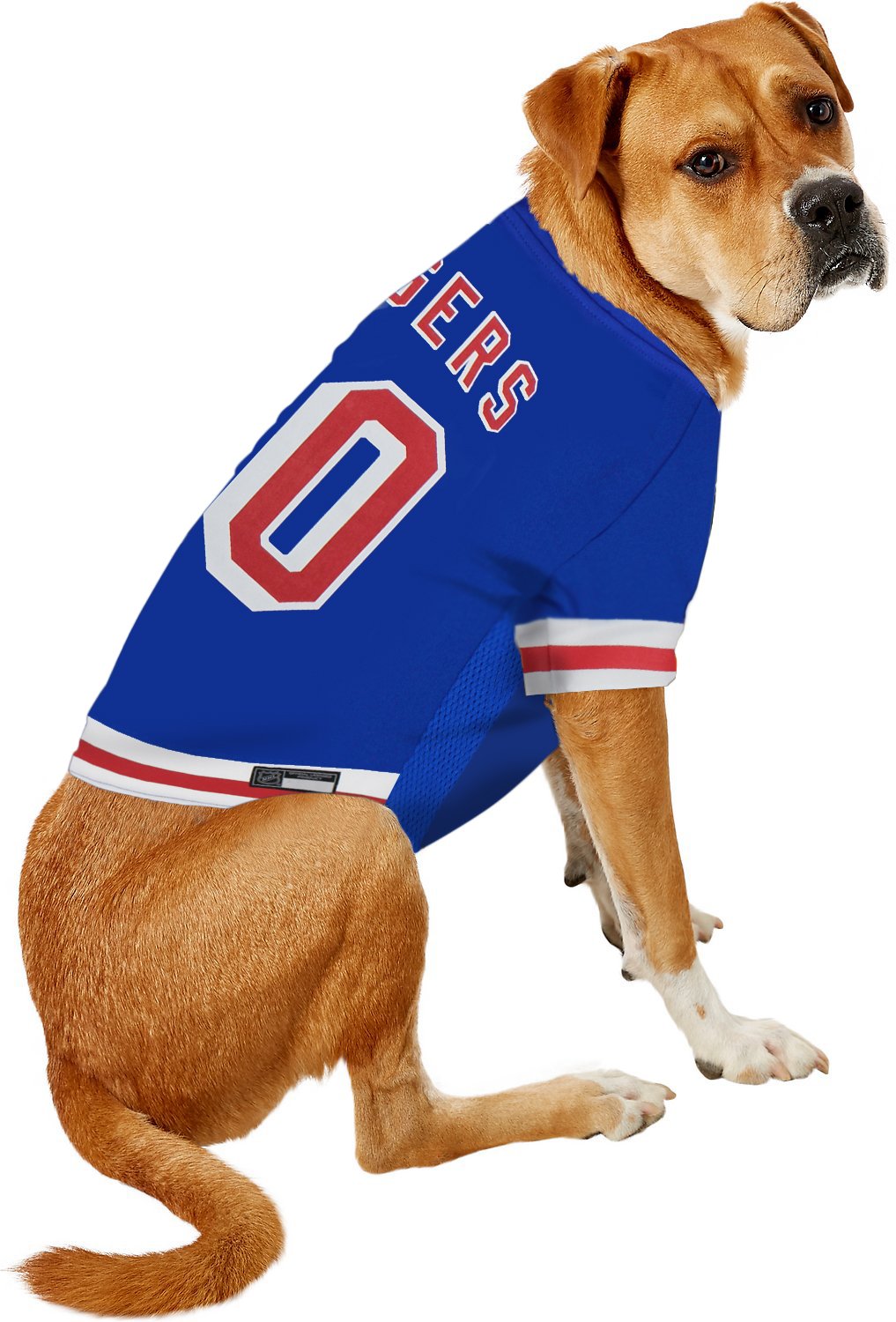 Pets First NHL New York Rangers Jersey for Dogs & Cats, Medium. - Let Your Pet Be A Real NHL Fan!