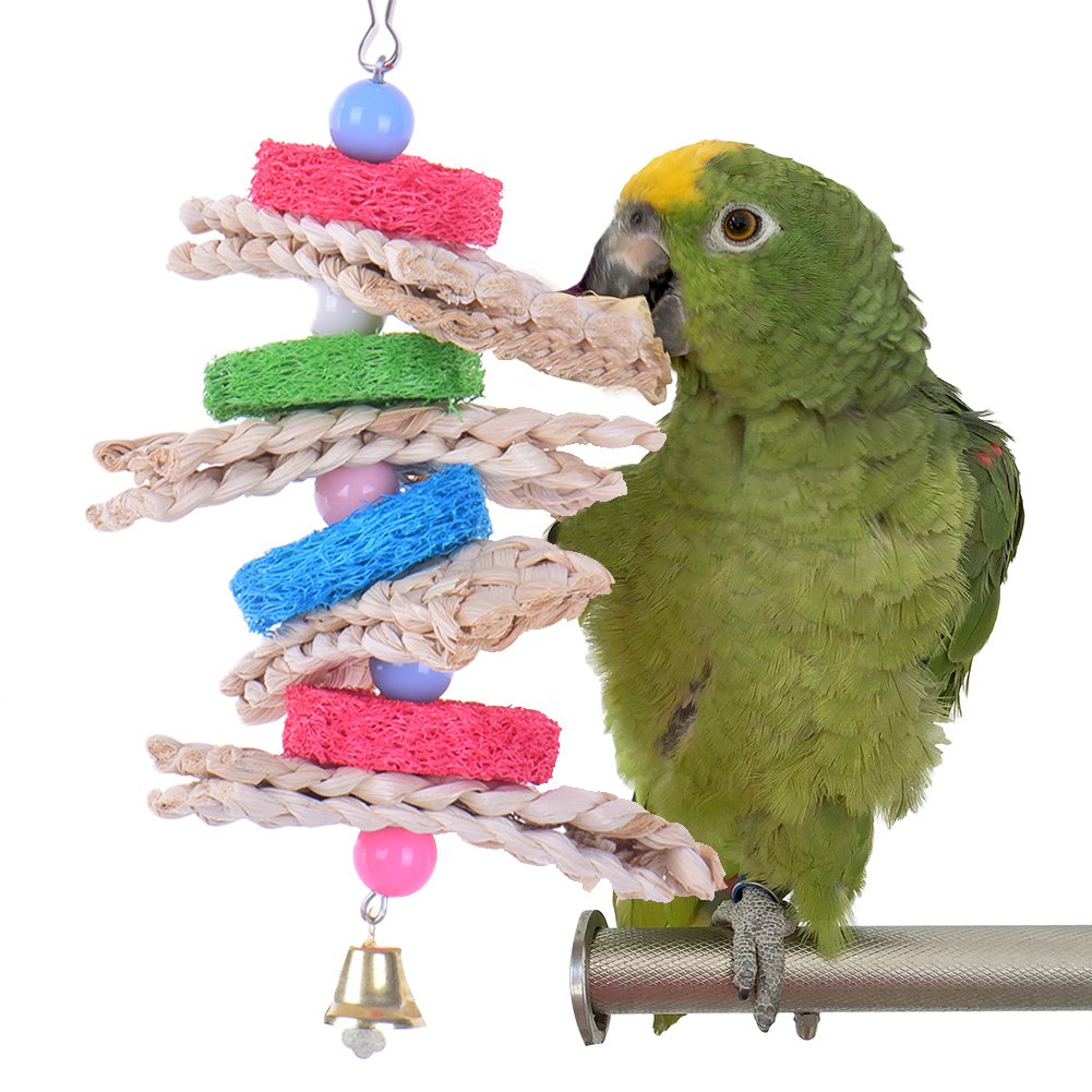 Hypeety Pet Bird Parrot Swing Chewing Toy Natural Sepa Takraw With Happy Twist Colorful Bead Swing Bell
