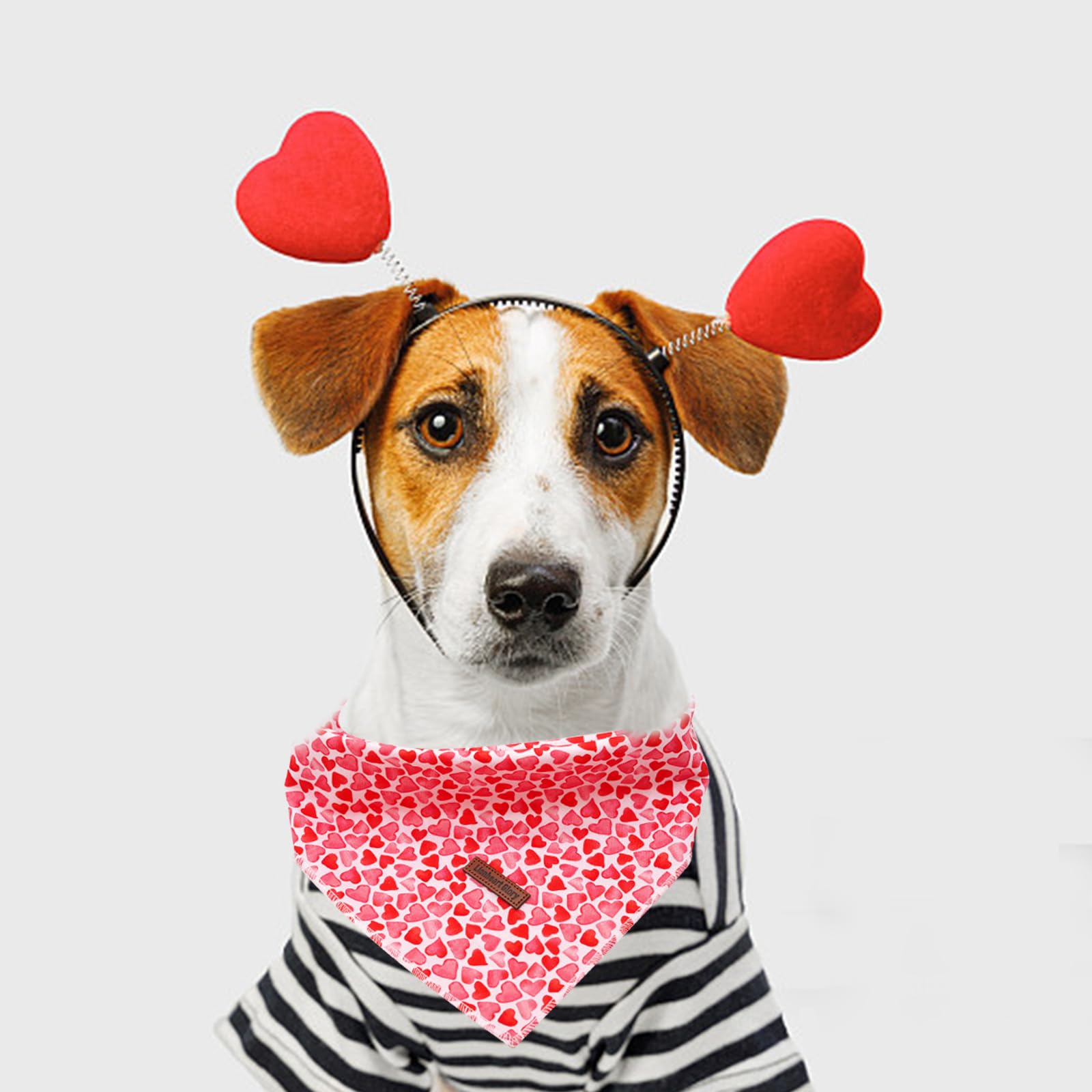 Lionheart Valentine Bandana - Soft Washable Dog Scarf, Square Adjustable For Small Dogs & Cats