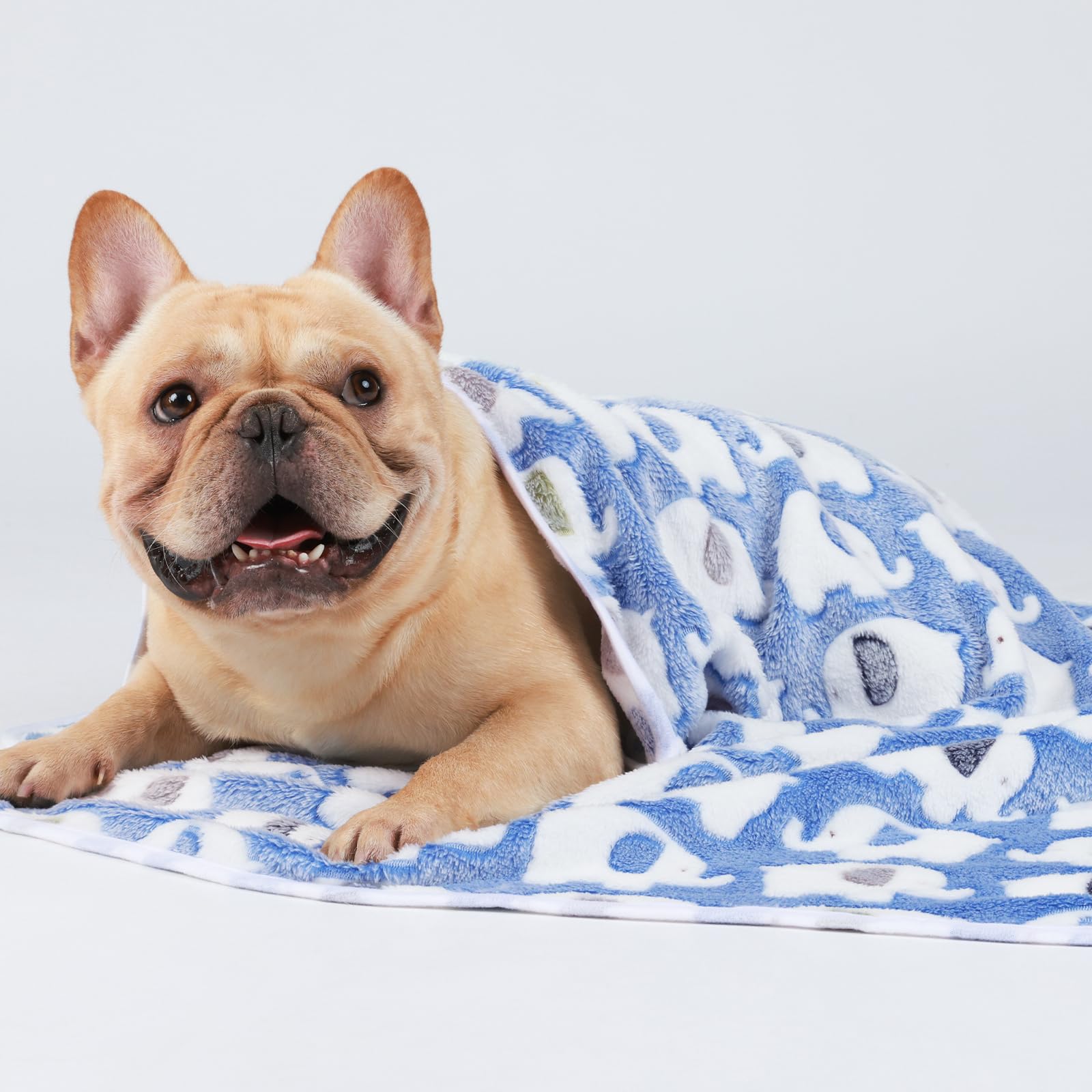 1 Pack 3 Blankets Super Soft Fluffy Premium Cute Elephant Pattern Pet Blanket Flannel Throw For Dog Puppy Cat Blue/Pink/Yellow Small(23X16 Inch)
