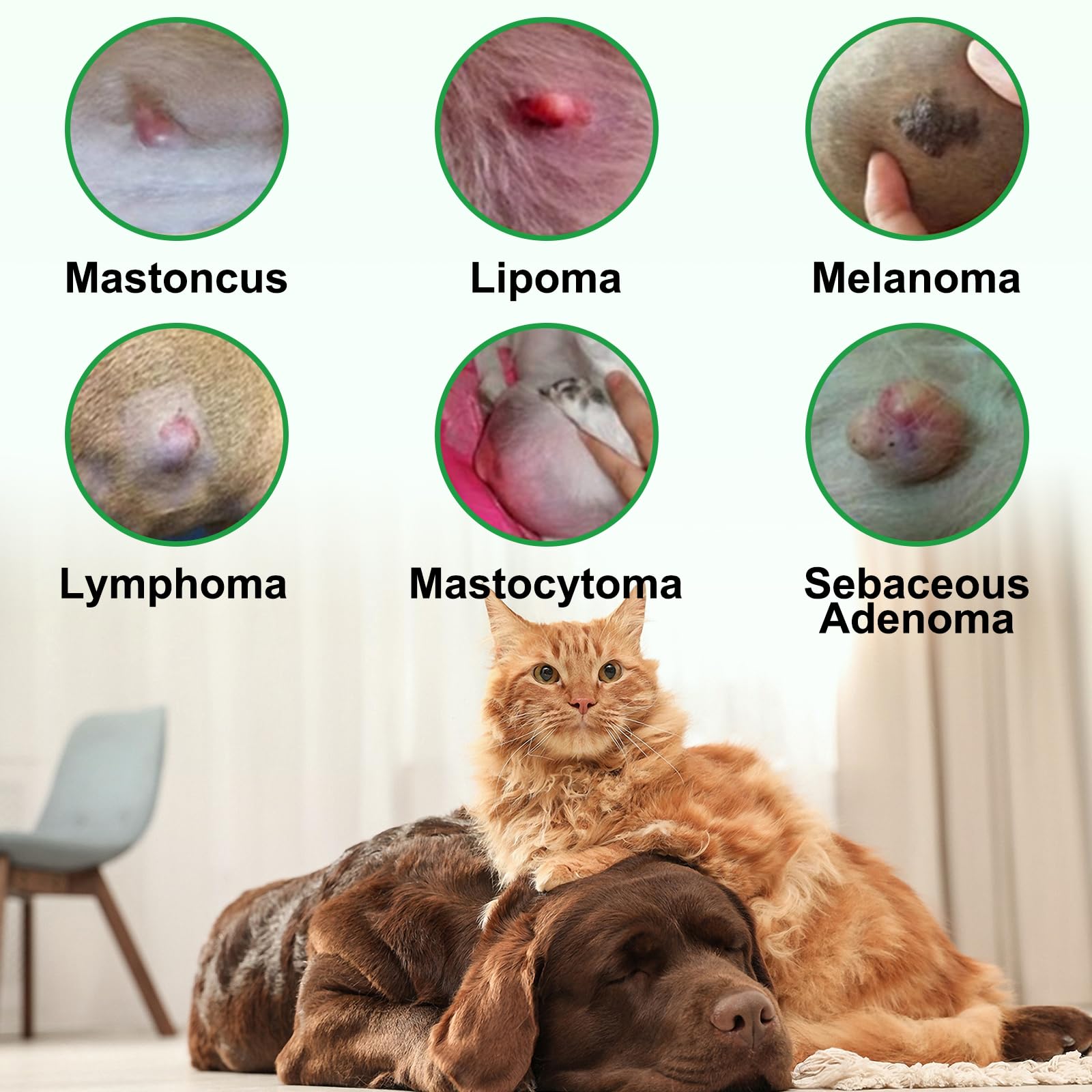 Lipoma Treatment for Dogs with Castor Oil for Lipomas, Soften Fatty Lumps & Bumps, Soothes & Nourishes Pet Skin, Helps Reduce Li