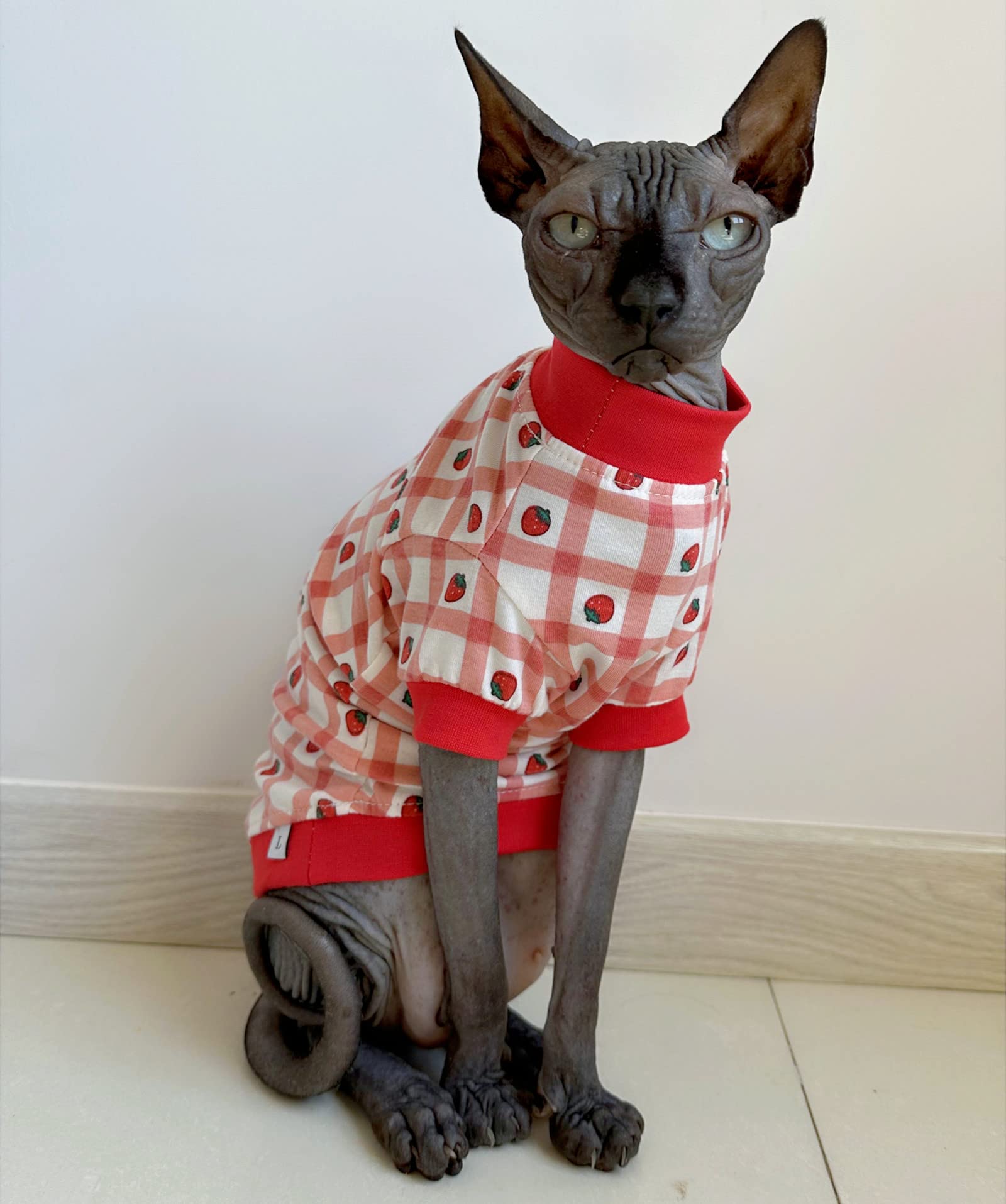 Sphynx Hairless Cat Cute Summer Cotton T-Shirts Pet Clothes,Round Collar Kitten Shirts Cats Apparel (Checkered Strawberry, Mediu
