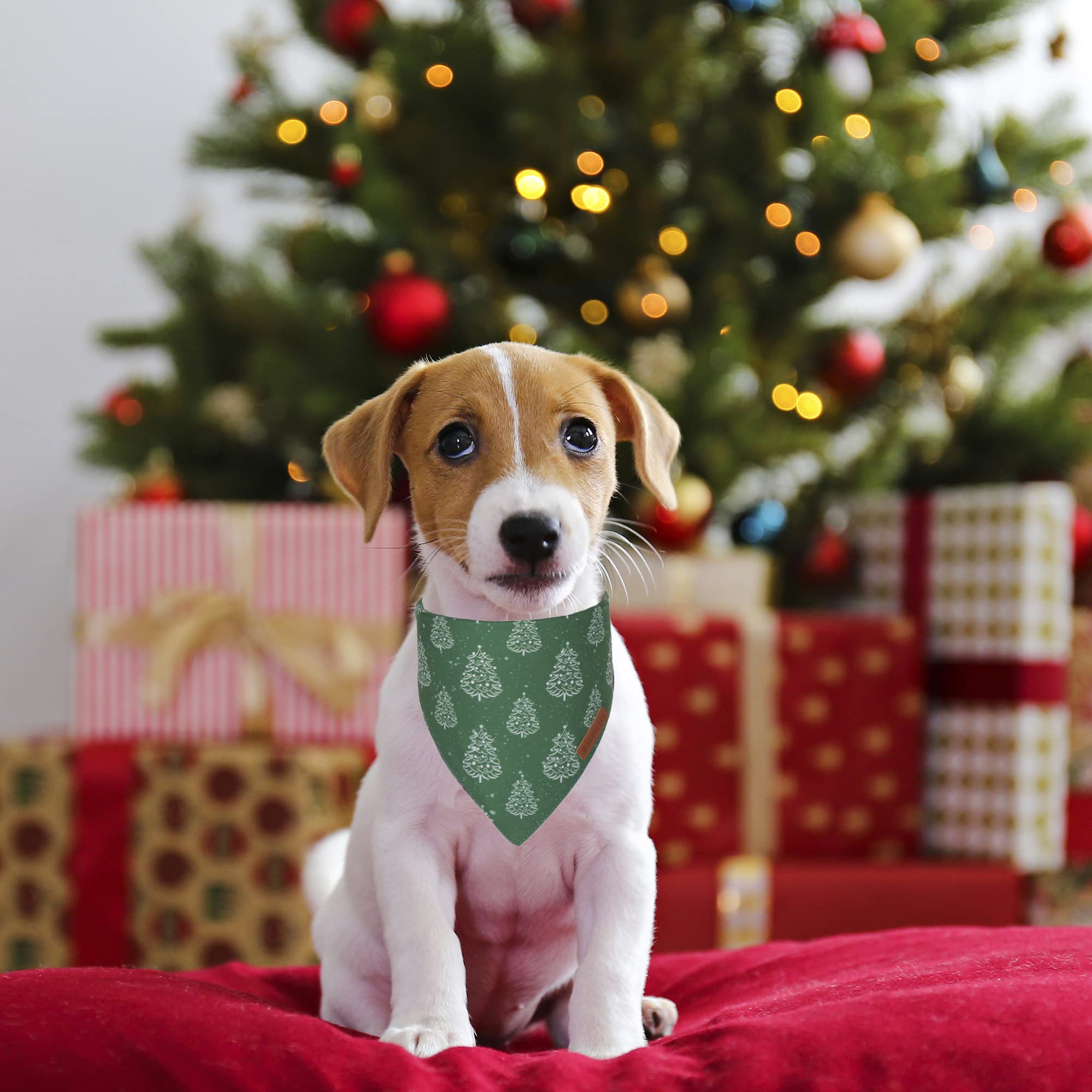 Adoggygo Dog Bandana Christmas Pet Scarf Bib Kerchief, Premium Durable Fabric, Multiple Sizes Offered, Red Green Christmas Banda