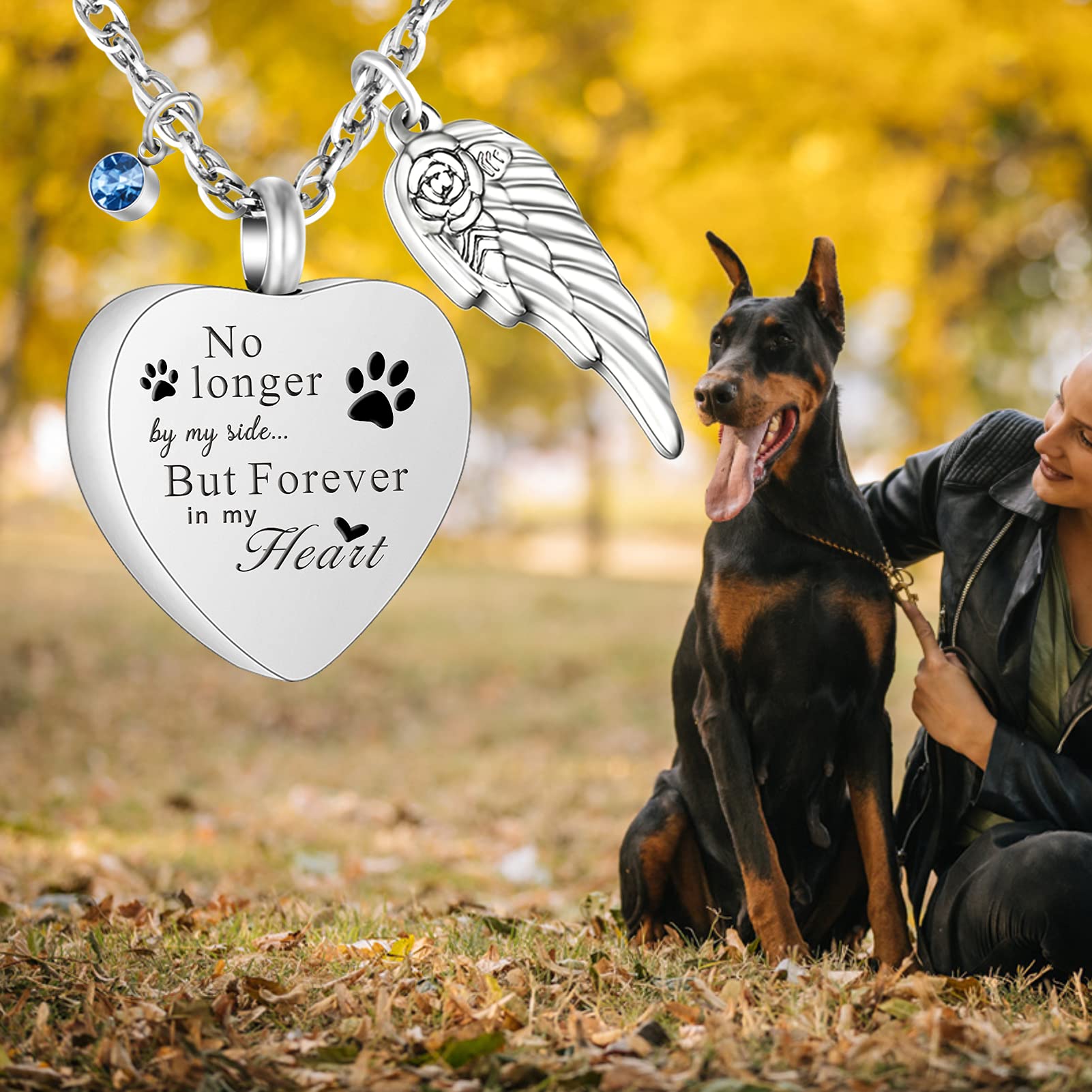 Soitis 12Pcs Birthstones Cremation Jewelry For Dog Ashes Urn Necklace For Pet Ashes Heart Urn Pendant Stainless Steel Memorial Ashes Keepsake