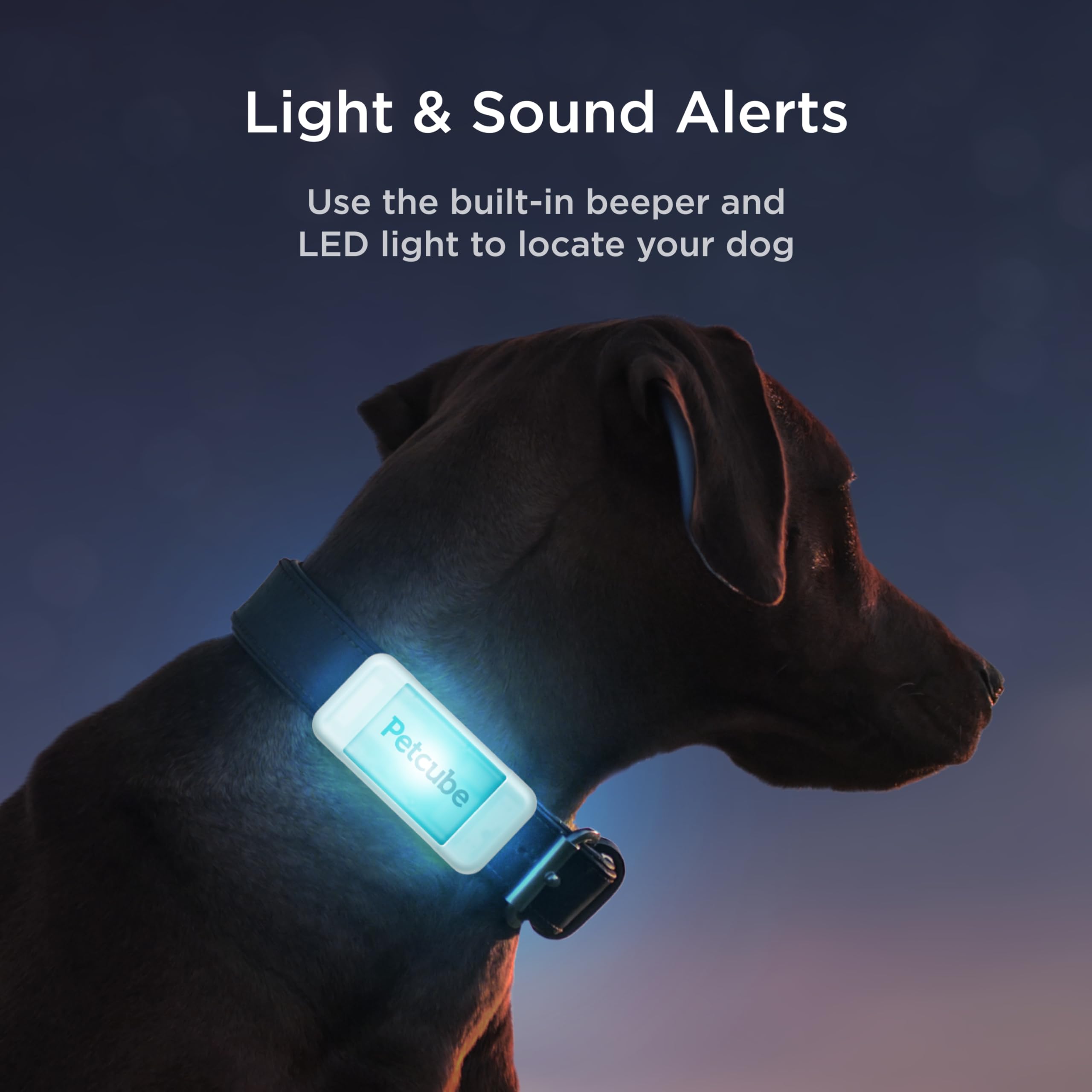 Petcube GPS Tracker for Dogs - Escape Alerts, Virtual Fences, Activity Monitoring, Water & Dust Proof, Model 13-LC6F-PCX9