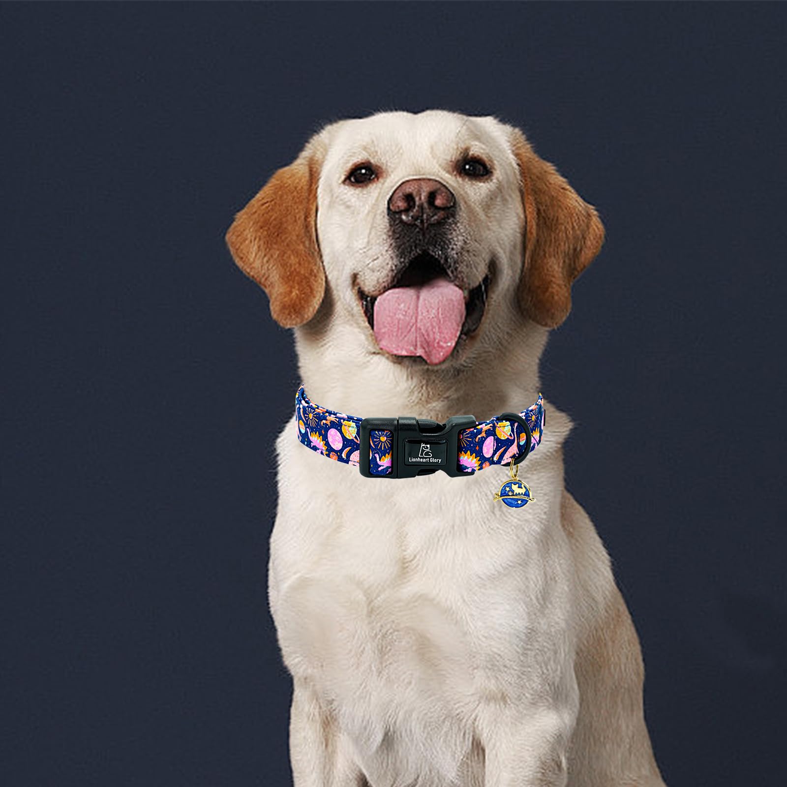 Lionheart Glory Dog Collar Dinosaurs Pattern Cute Collar For X-Small Dogs Spring Summer Female Or Male Collars Pet Gift Adjustab