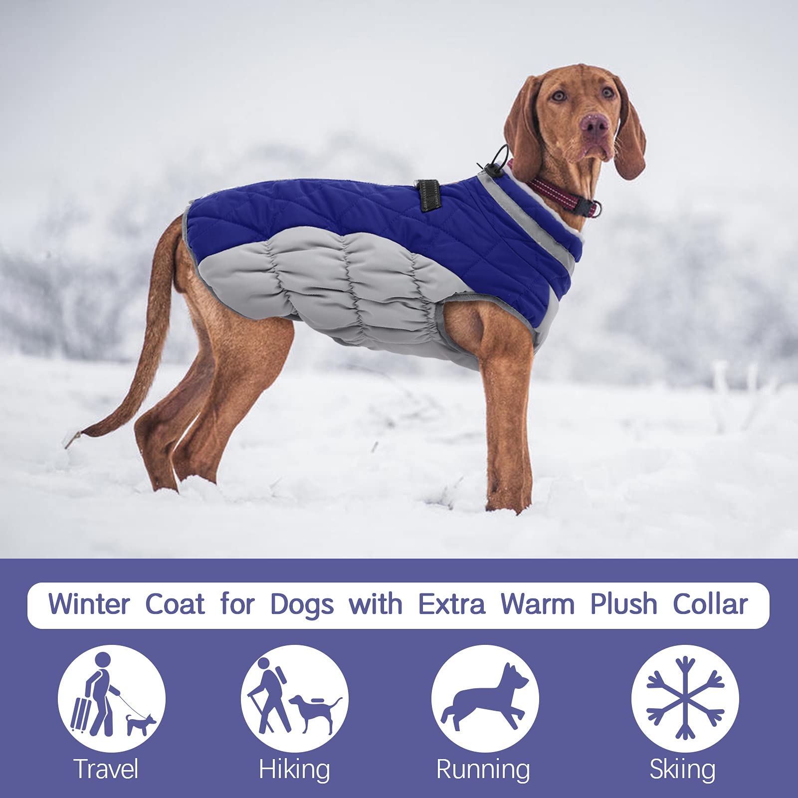 Fuamey Warm Dog Jacket, Winter Coat With Padded Fleece, Reflective Vest, Built-In Harness, Waterproof & Windproof, Blue, X-Small