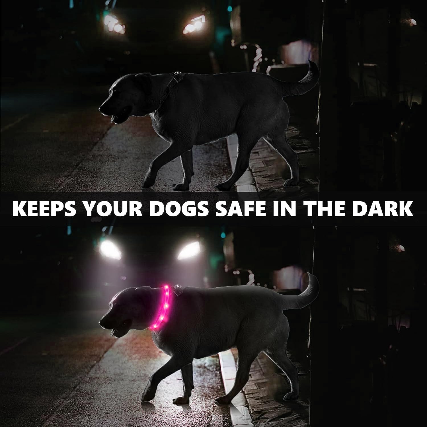 2 Pack Light Up Dog Collars With 1640 Feet Of Visibility - Brightest Glow Dog Collar Light, Rechargeable Dog Collar Light For Ni