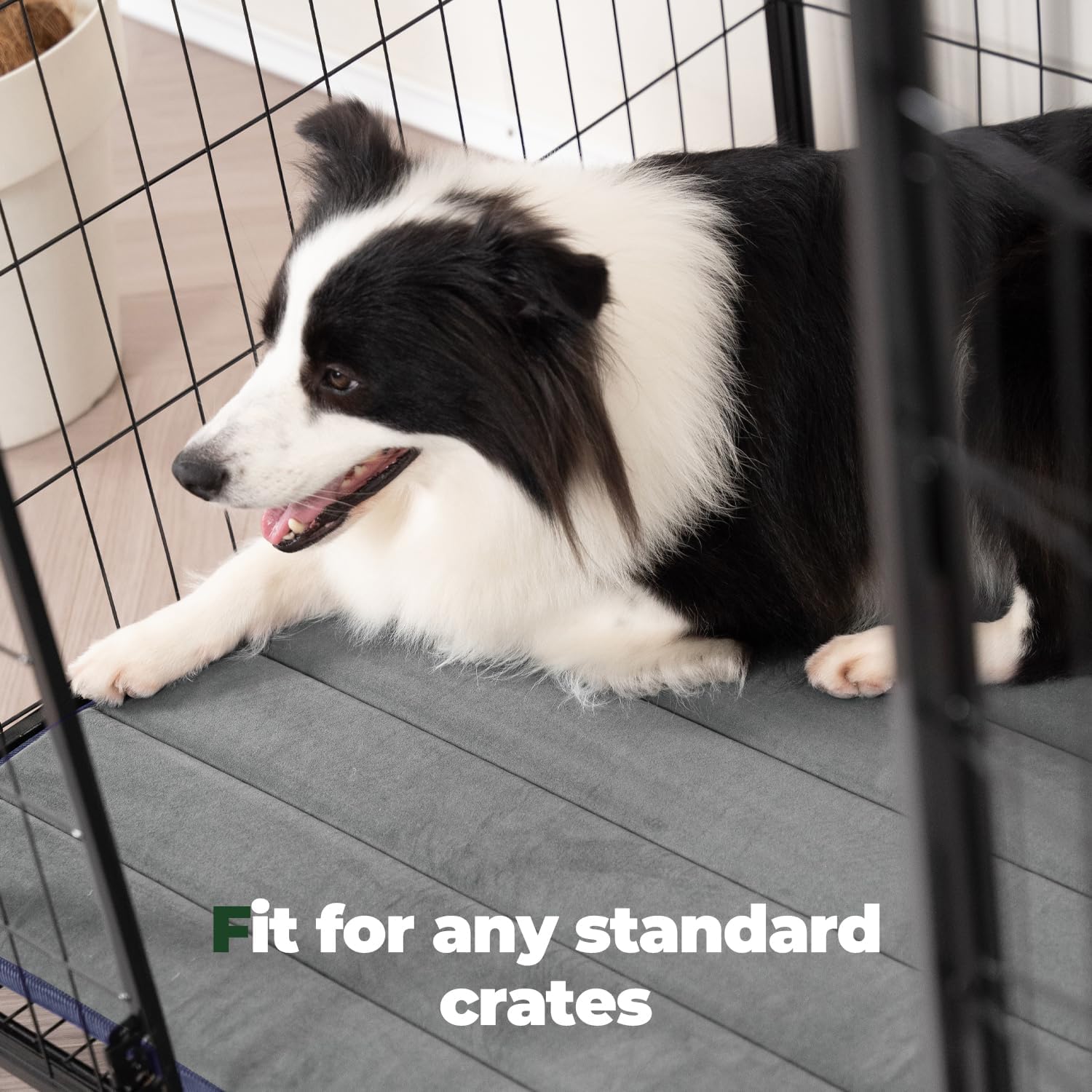 BALANCE Dog Crate Pad, Dog Foam Crate Mat Kennel Pad, Washable Water-Resistant Pet Bed Flat Dogs Cage Mat for Large Dogs, 2 Pack