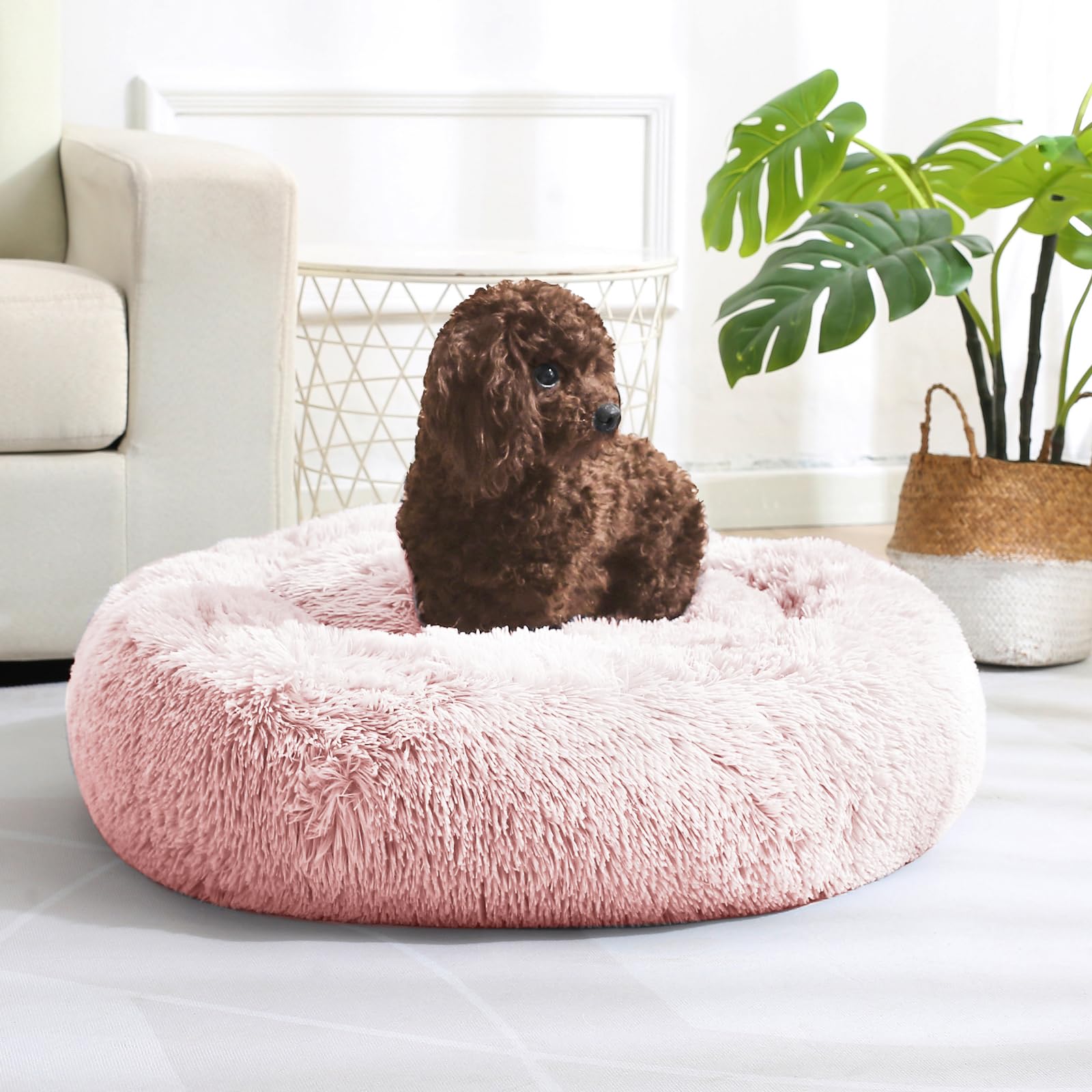 Jollyvogue Dog & Cat Bed, Calming Anti-Anxiety Pet Bed For Small Dogs, Fluffy Donut Cushion For Small And Medium Pets (20')