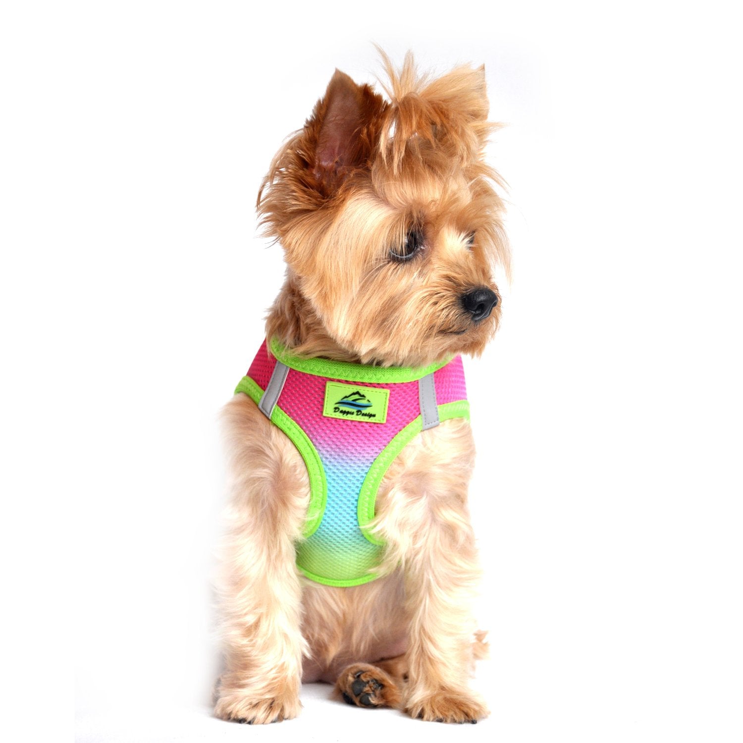 Doggie Design No Choke Dog Harness - Simple Step-In And Go Dog Vest For Small, Medium, And Large Breeds - Breathable Mesh Polyester Pet Harness - Rainbow - Xxs
