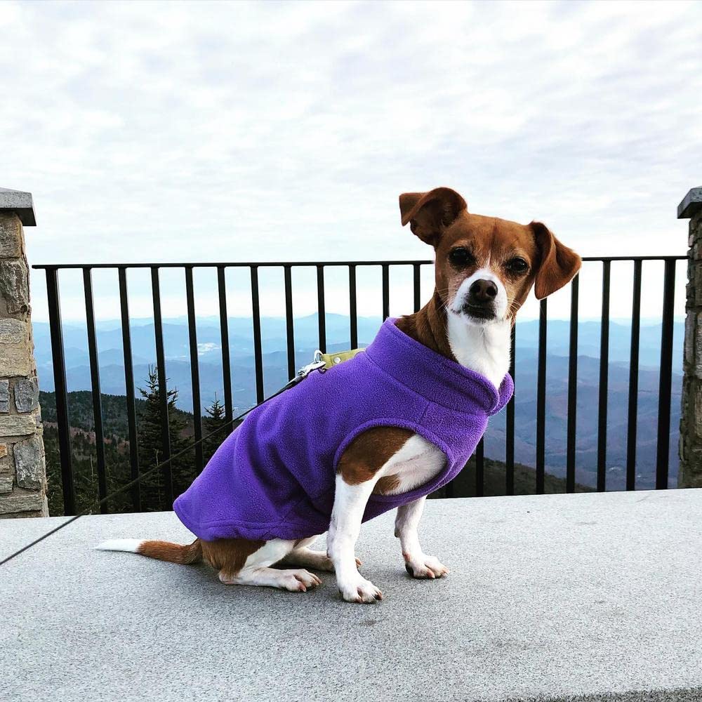 Gooby Fleece Vest Dog Sweater - Lavender, X-Large - Warm Pullover Fleece Dog Jacket With O-Ring Leash - Winter Small Dog Sweater