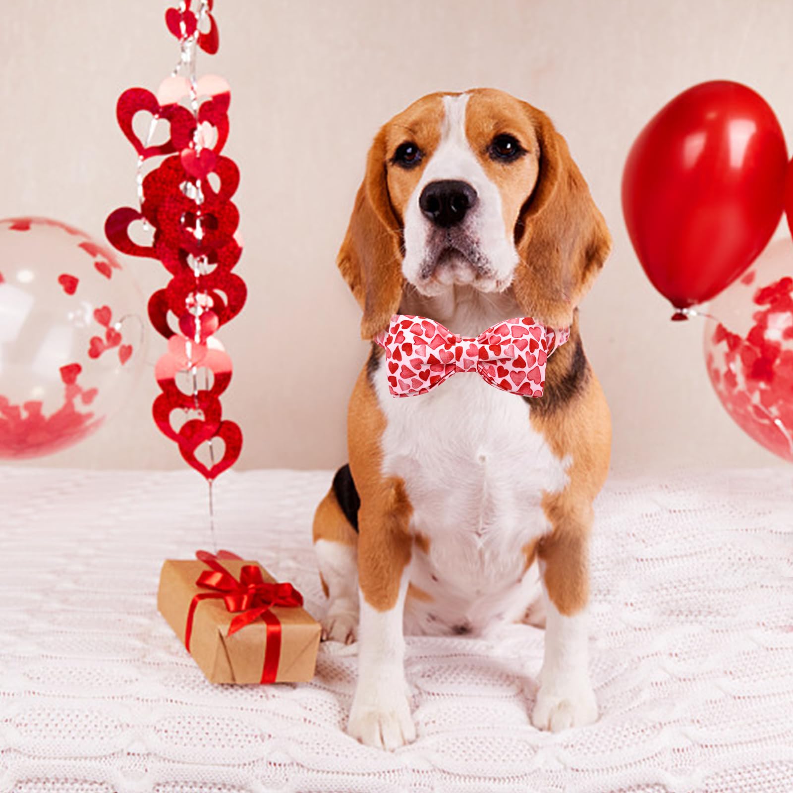 Lionheart Glory Dog Collar With Bowtie Valentine'S Day Dog Collar For Small Dogs, Hearts Pattern, Handmade Bow, Unique Design, C