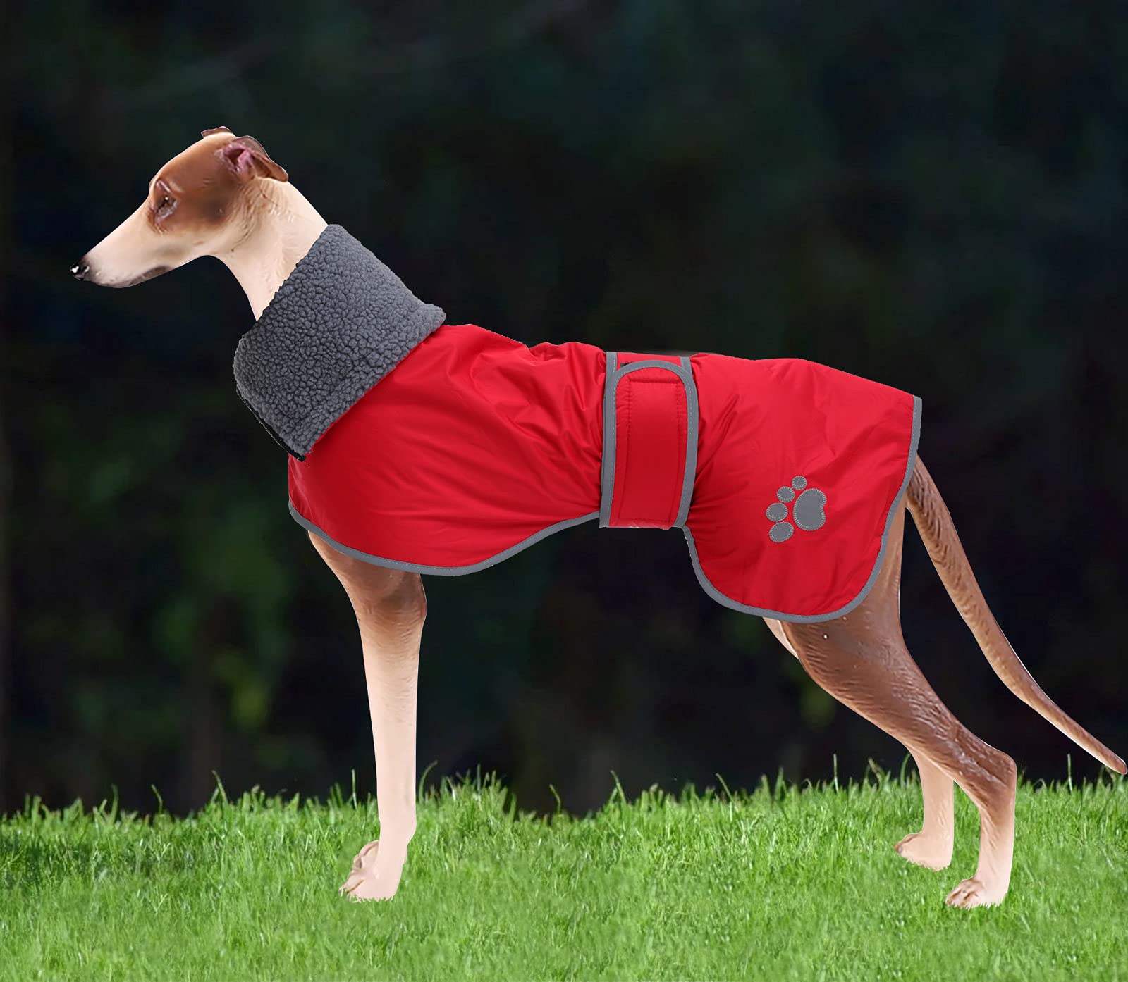 Dog Winter Coat Geyecete Greyhound Raincoat Fabric With Lamb Velvet Inside Outdoor Dog Apparel With Adjustable Bands For Medium,