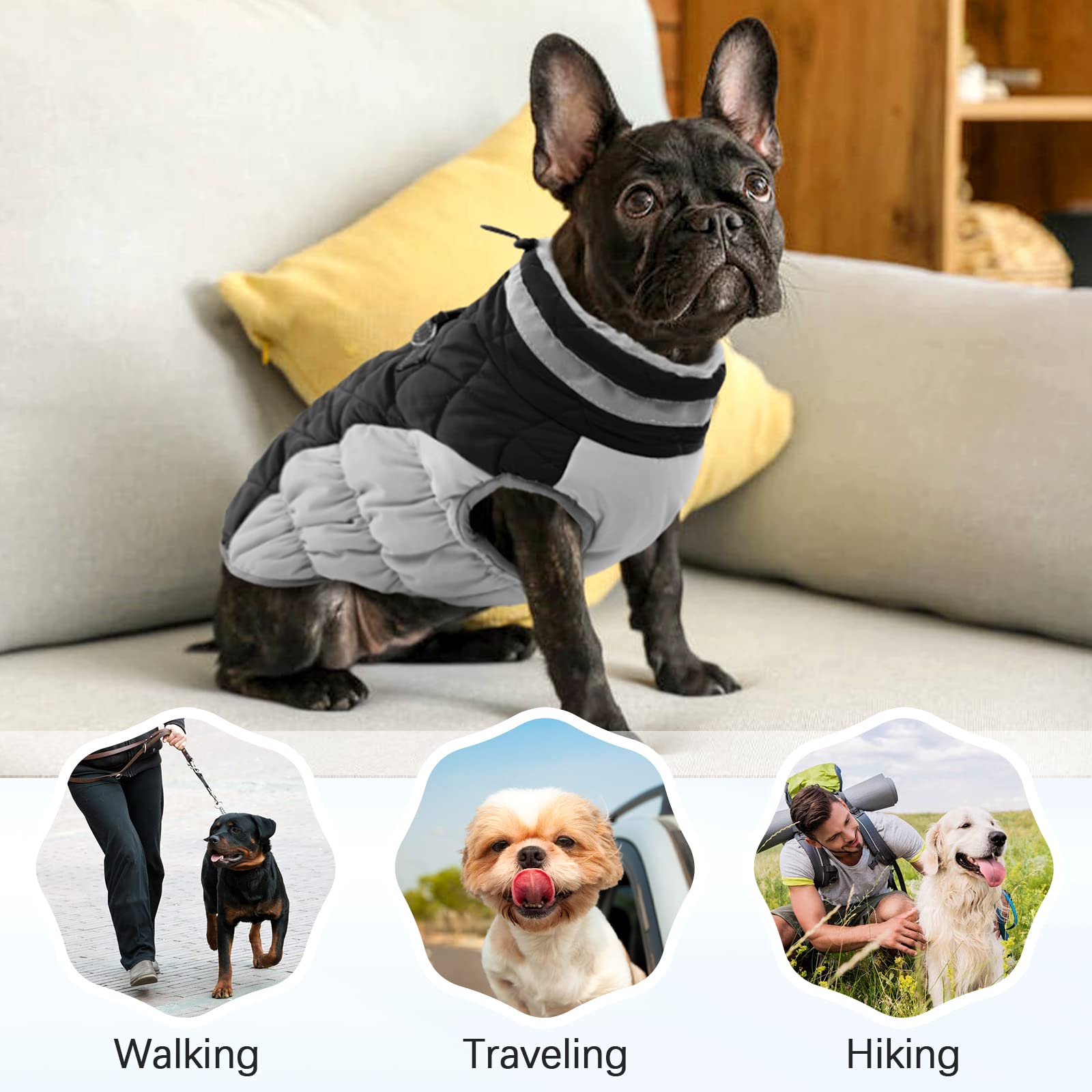 OUOBOB Dog Winter Jacket, Waterproof & Windproof Fleece Apparel, X-Small, Black, Model C96-126MF