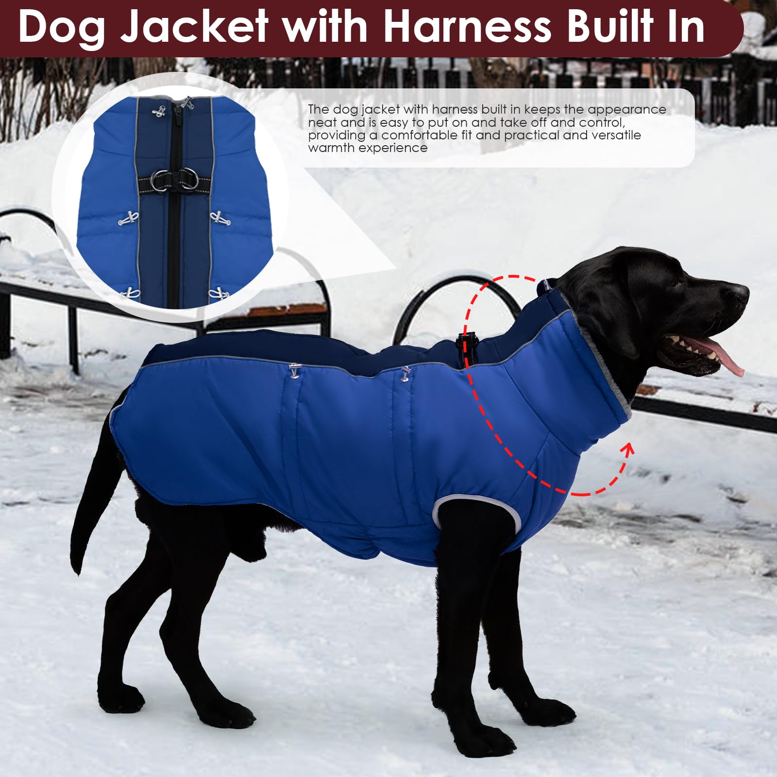 IKIPUKO Small Dog Coat - Winter Jacket, Warm Zip Up Snowsuit, Reflective, Water-Resistant, Royal-Blue