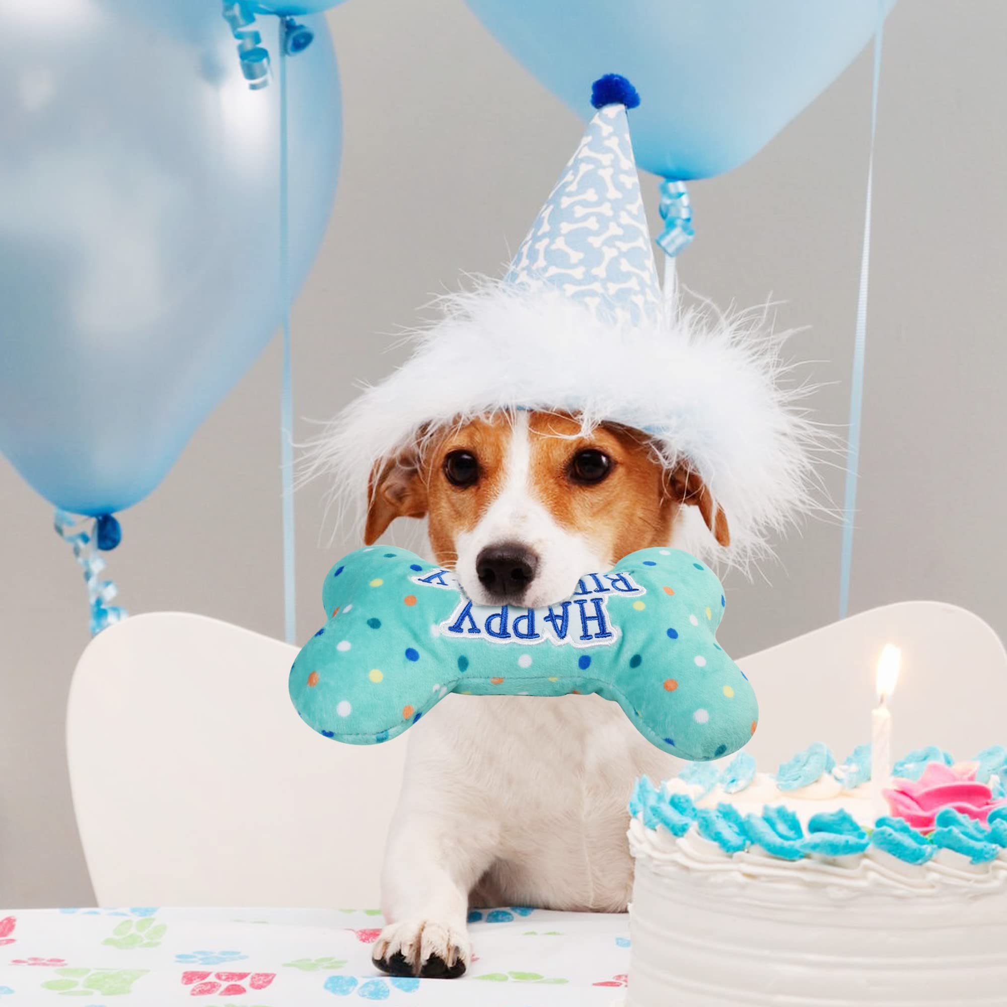 Primepets Dog Birthday Toys, Plush Dog Squeaky Toys, Dog Birthday Party Supplies, Stuffed Dog Chew Toys For Small Medium Large Dogs (Bone)