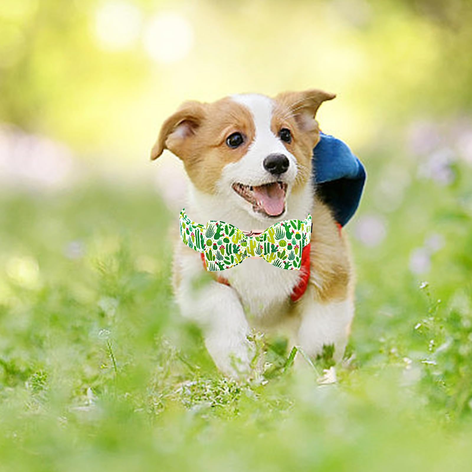 Lionheart Glory Dog Bow Collar Green Cactus Print Collars For X-Small Dogs,Spring Summer Cute Dog Collar With Bowtie Puppy Colla