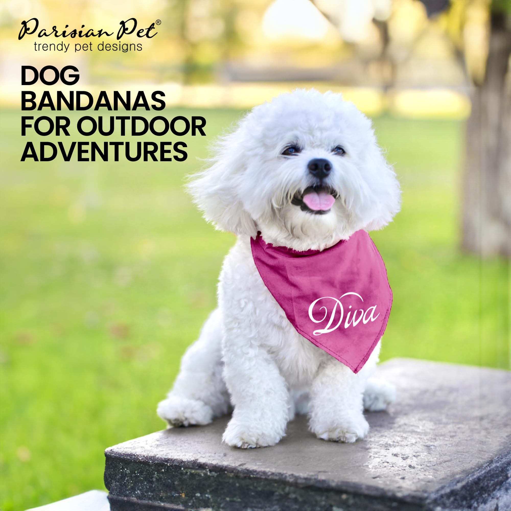 Parisian Pet Dog Bandanas With Printed 'Diva' Word - Classy Tie-On Adjustable Girl Dog Bandana - Dog Scarf For Large Dogs - Washable Triangle Female Dog Bib - Pink Handkerchief For Pets - L