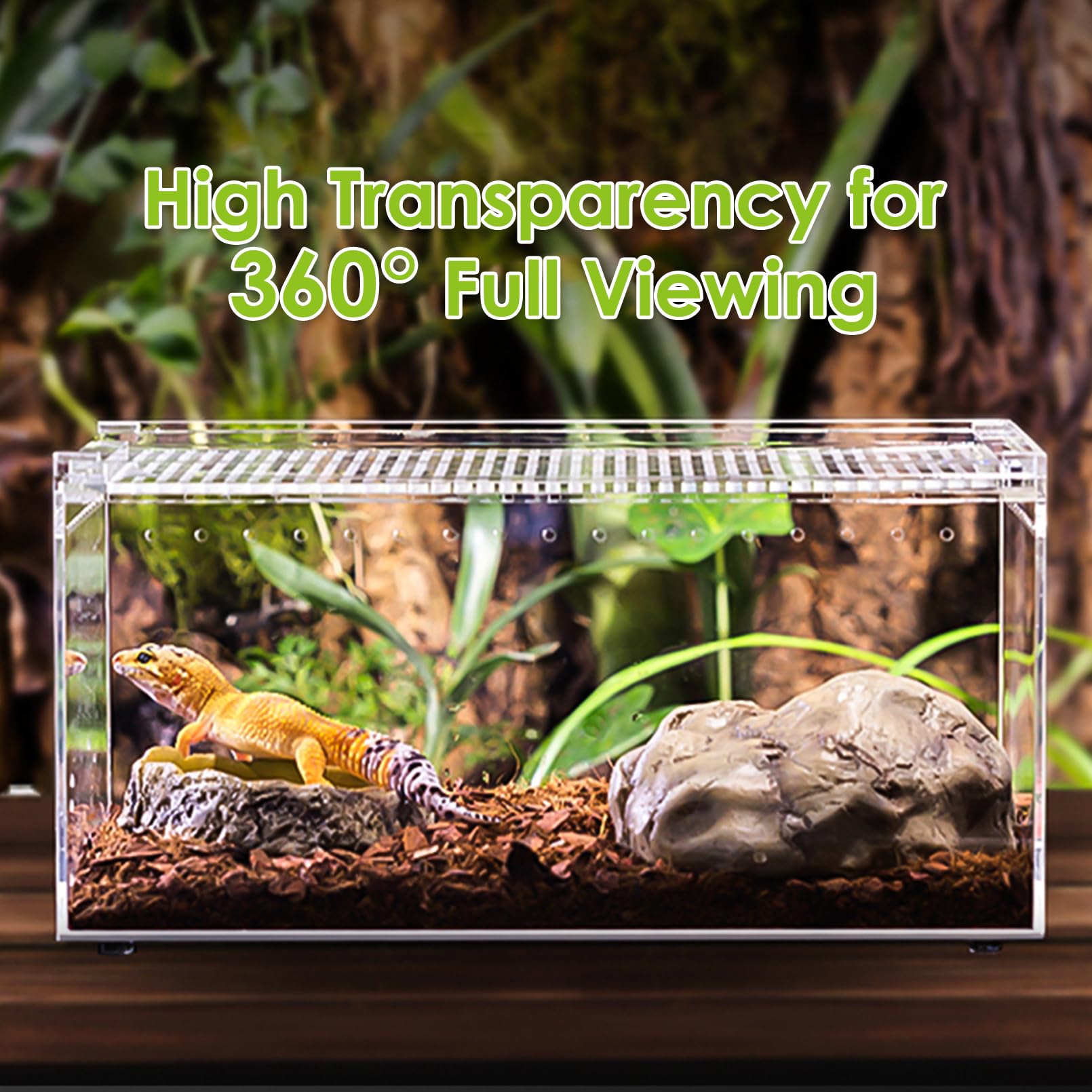 Apatal Reptile Terrarium Enclosure 12''X 8''X 6'' Acrylic Tarantula Breeding Box Magnetic Hermit Crab Habitat Tank Transparent J