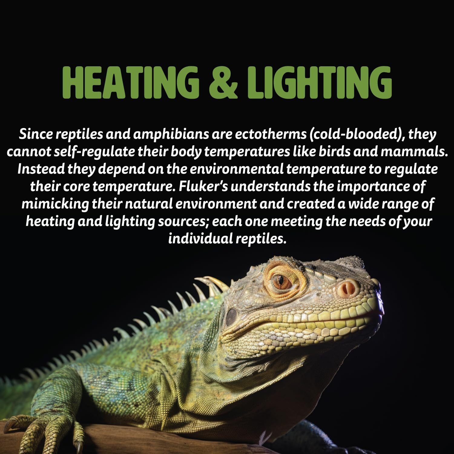 FK CERAMIC HEAT EMITTER 60W