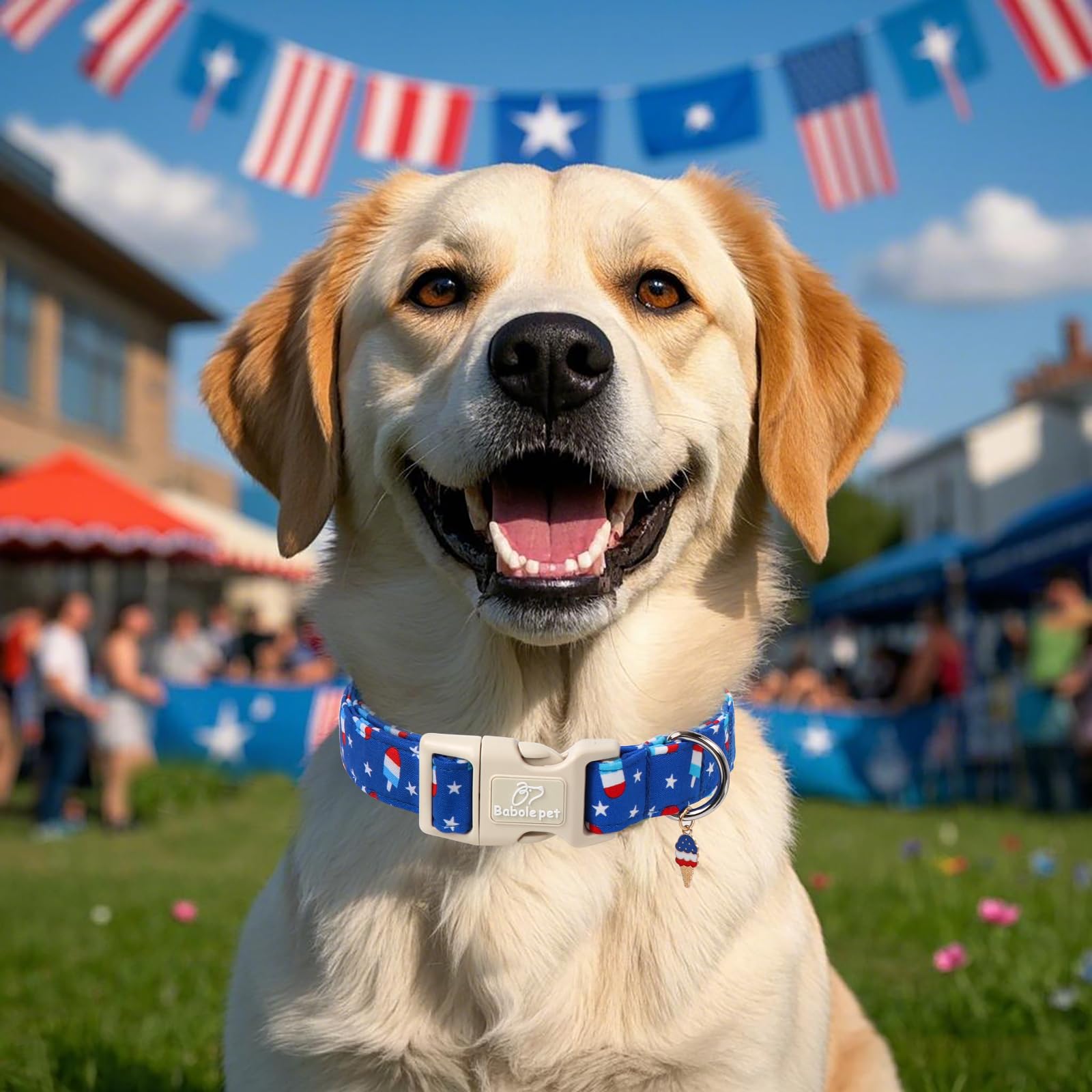 Babole Pet 4Th Of July Dog Collar, Summer Popsicle Patriotic Dog Collars For Large Dogs, Adjustable Lightweight Quick-Release Bu