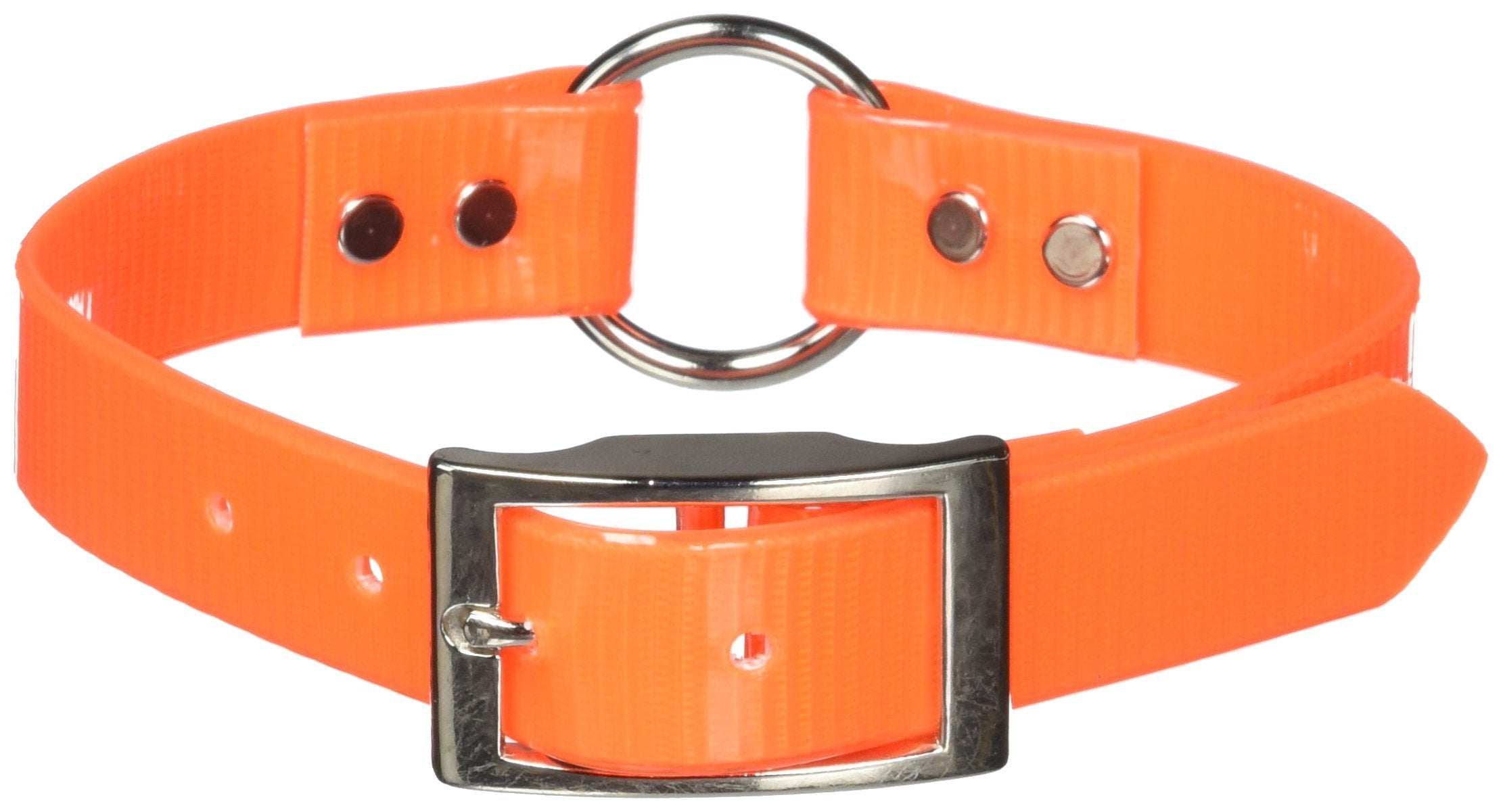Omnipet Sunglo Ring-In-Center Dog Collar, 1' Wide, Orange, Fits 14.5'- 18' Neck Sizes, Vibrant Colors & Tough Construction Fo