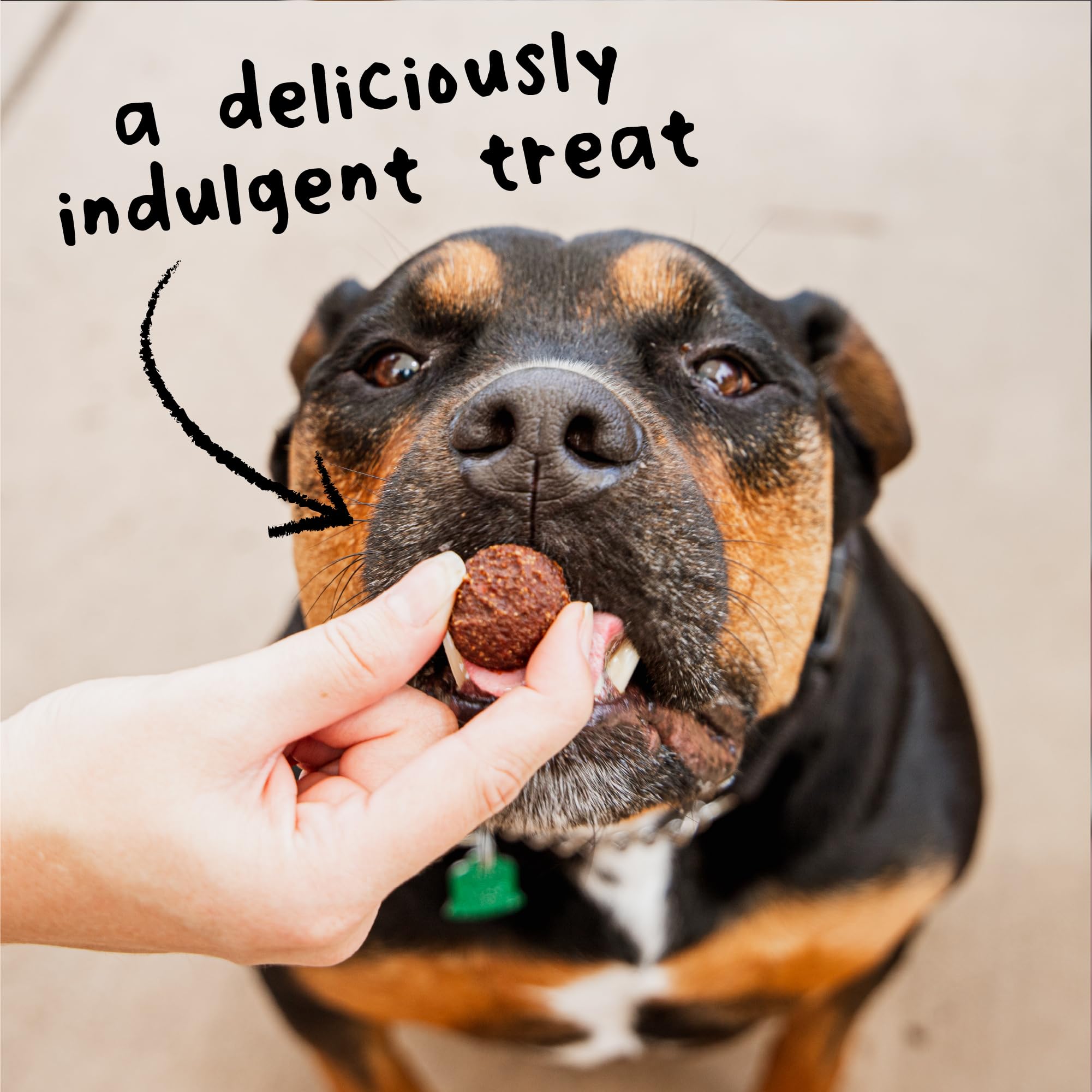 Cloud Star Wagmore Dog Meatball Grain Free Lamb 14Oz