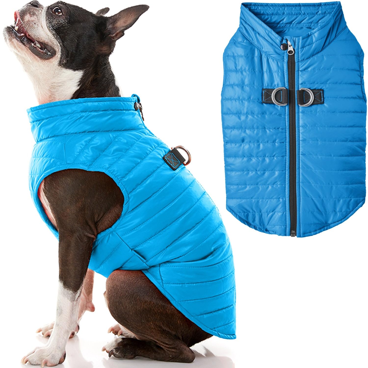 Gooby Puffer Vest Dog Jacket - Blue, X-Large - Ultra Thin Zip Up Wind Breaker With Dual D Ring Leash - Water Resistant Small Dog
