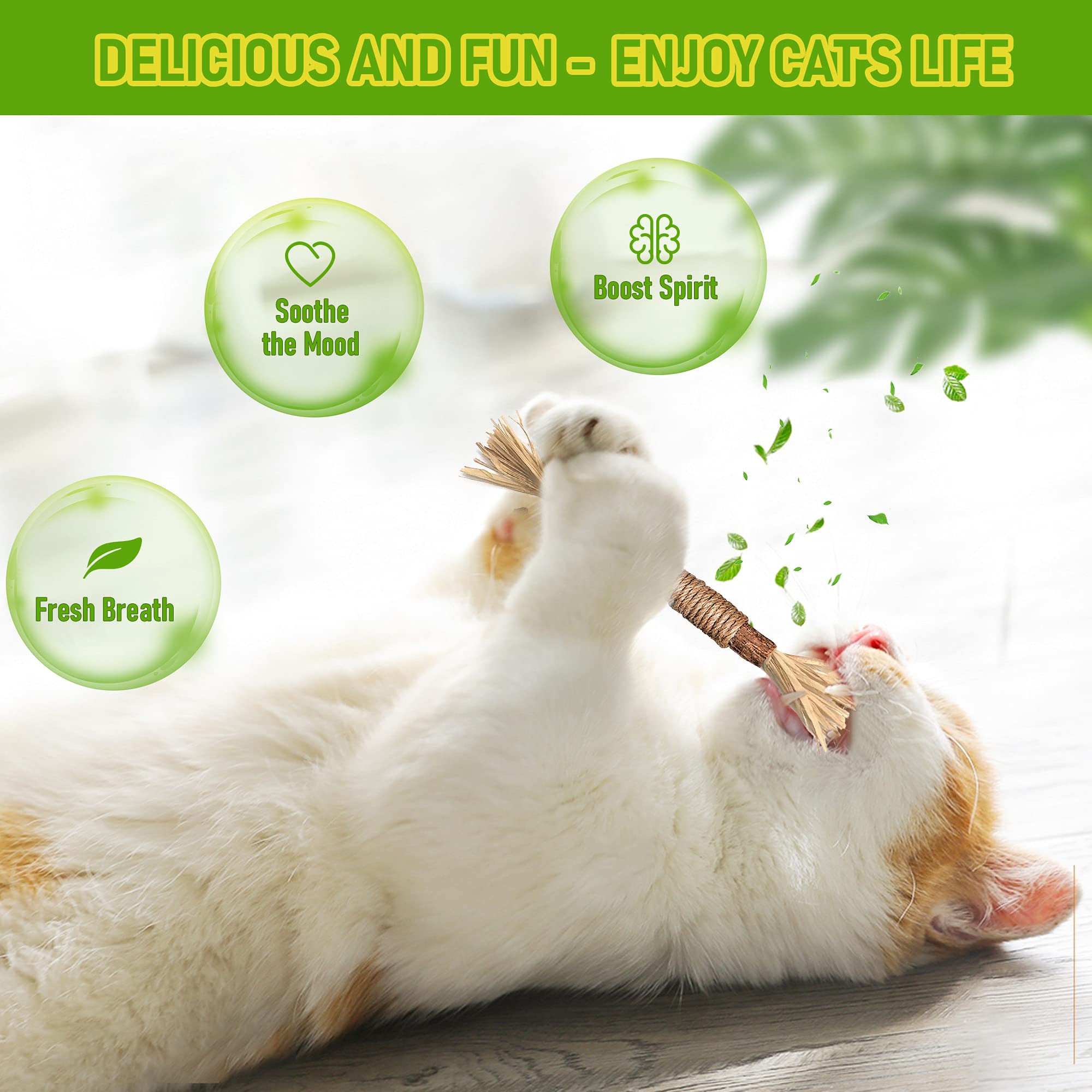 Bawan Catnip Toys, Silvervine For Cats: Cute Kitten Toys For Indoor Interactive Play, Teething Chew Toys For Aggressive Chewers,