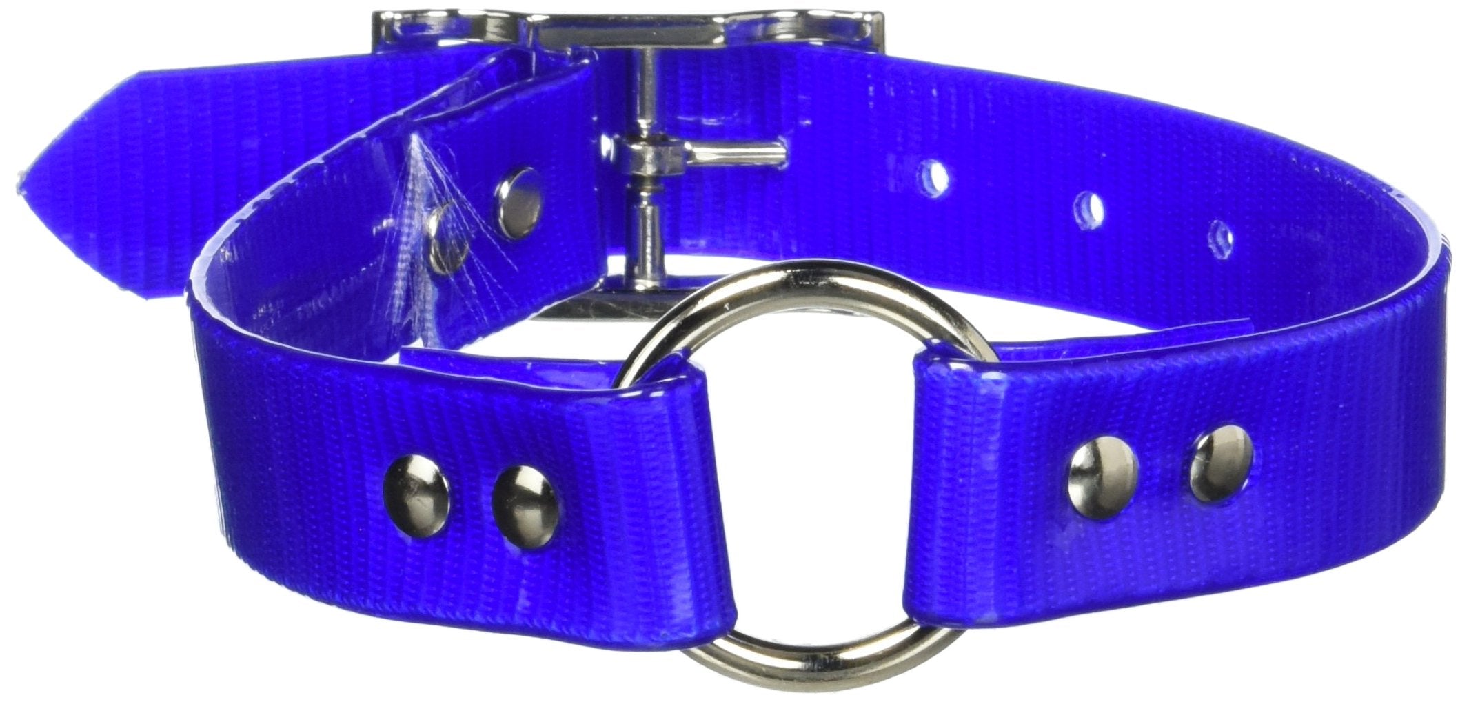 Omnipet Sunglo Ring-In-Center Dog Collar, 1' Wide, Blue, Fits 14.5'- 18' Neck Sizes, Vibrant Colors & Tough Construction For 