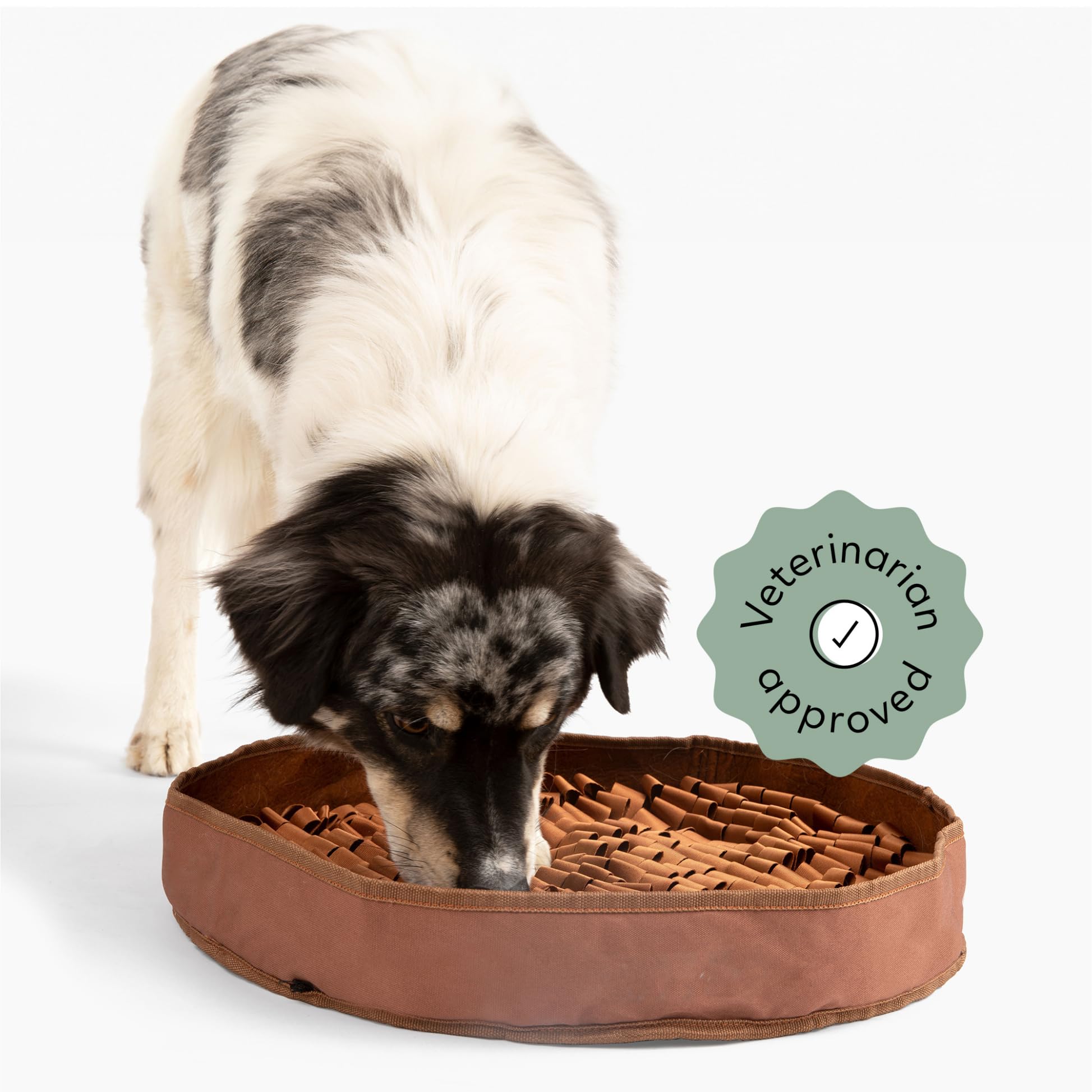 Reggie Stimulating Feeder Mat For Dogs | Relieve Speed Eating, Boredom, Stress | Vet-Approved & Ideal For All Ages, Dog Breeds, 
