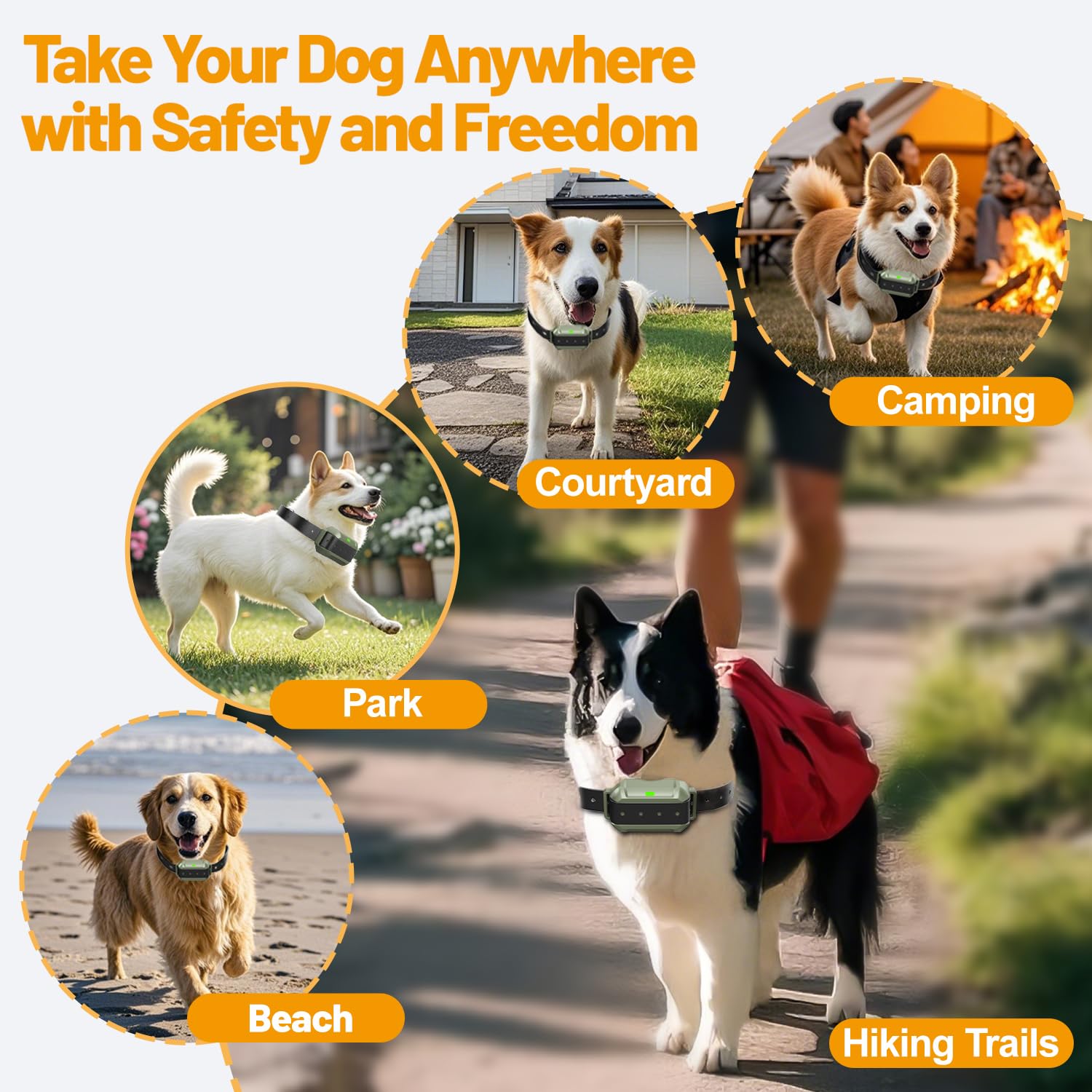 PETHEY Wireless Dog Fence System : Electric Fence for Dogs Freedom Safe Indoor Outdoor for Medium Large Dogs Covering Up to 5.6