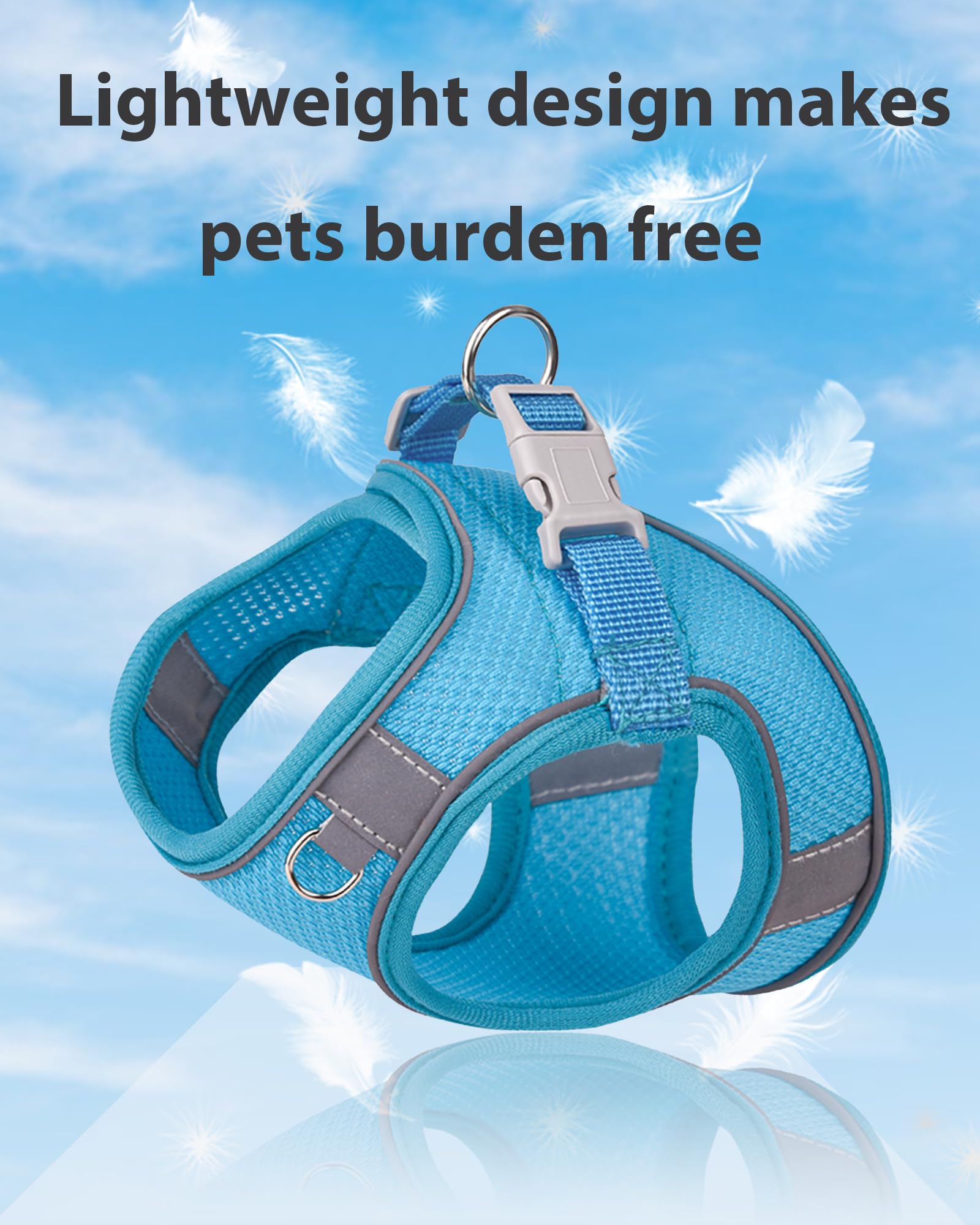 Aecllcea Puppy Harness And Leash Set Training - Dog Vest Harness For Small, Medium Dogs (Blue, L)