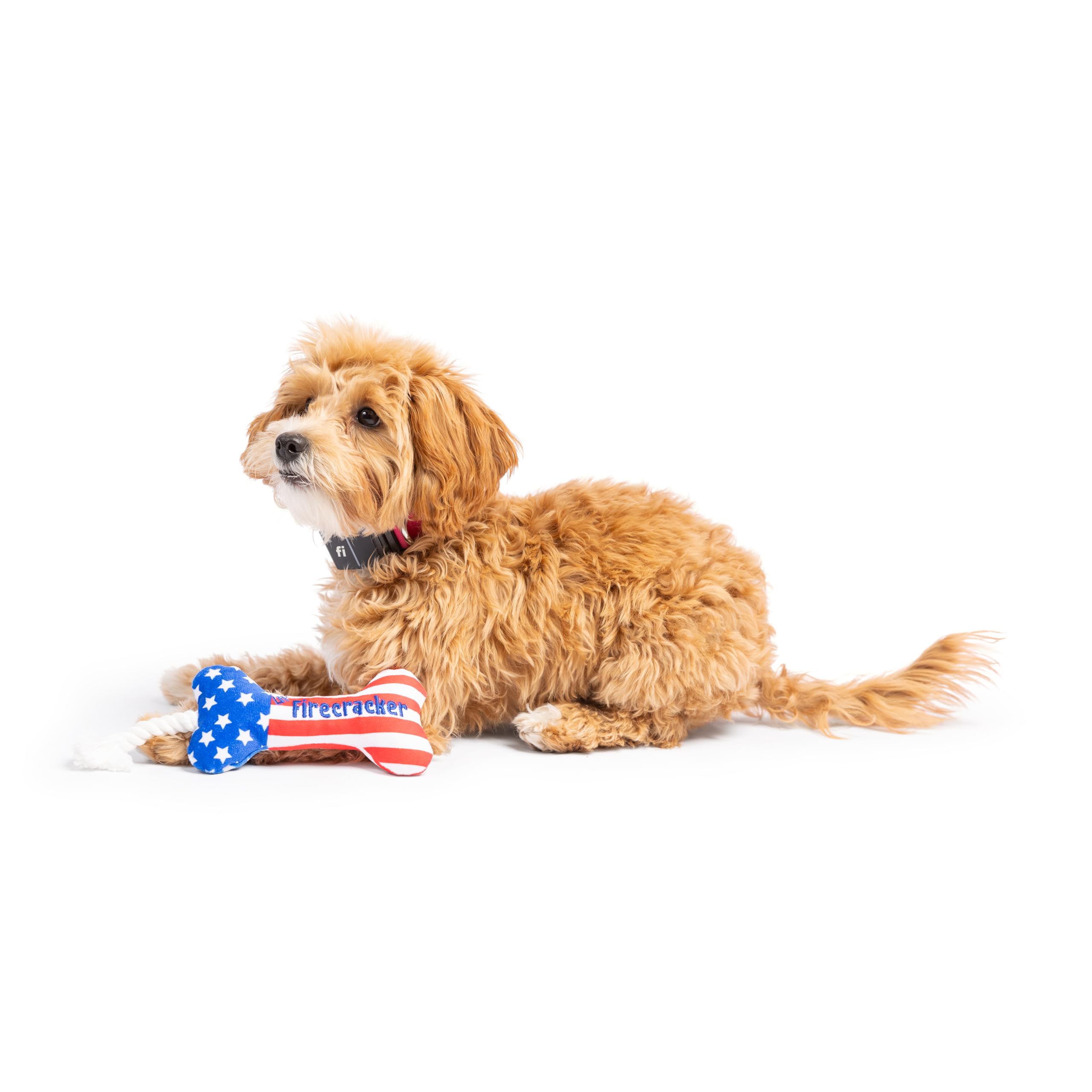 Huxley & Kent H&K Dog Tiny Tuff Lil' Firecracker Bone