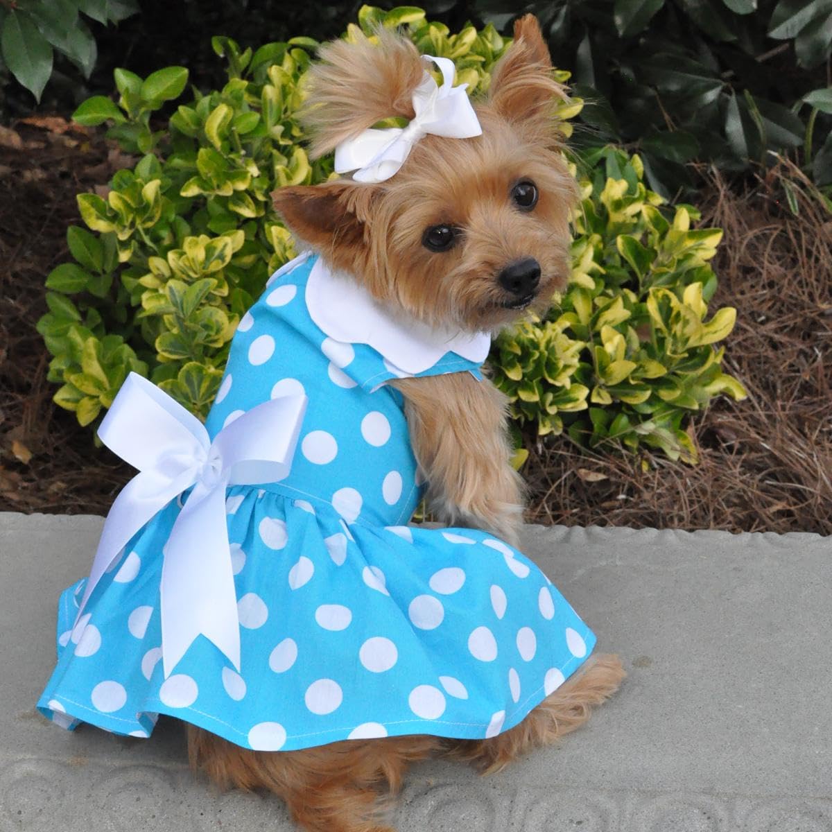 DOGGIE DESIGN Blue Polka Dot Dog Dress with Matching Leash