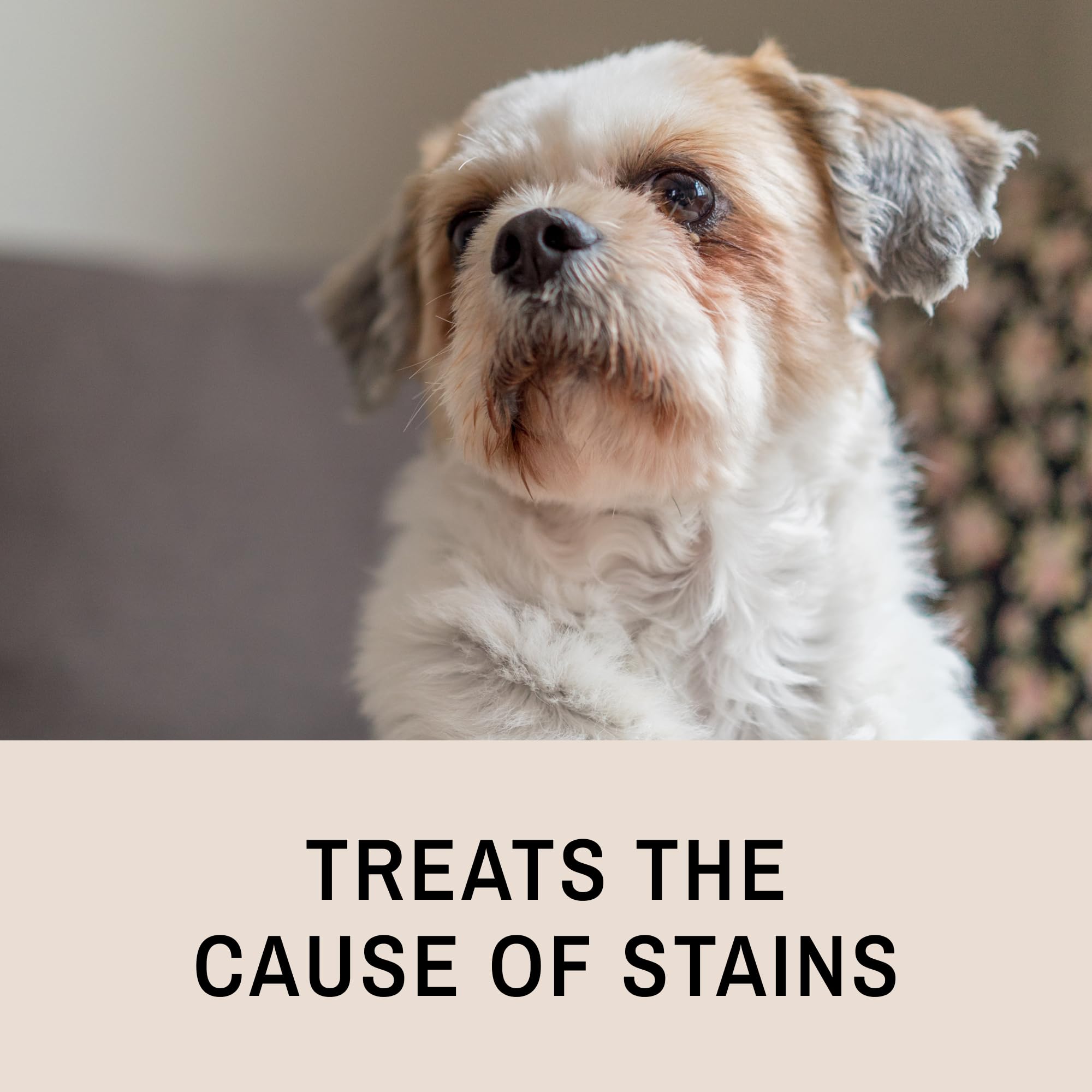 Eye Envy Tear Stain Remover Solution for Dogs. 100% Natural, Safe. Treats The Cause of Stains. Recommended by AKC Breeders, Vets