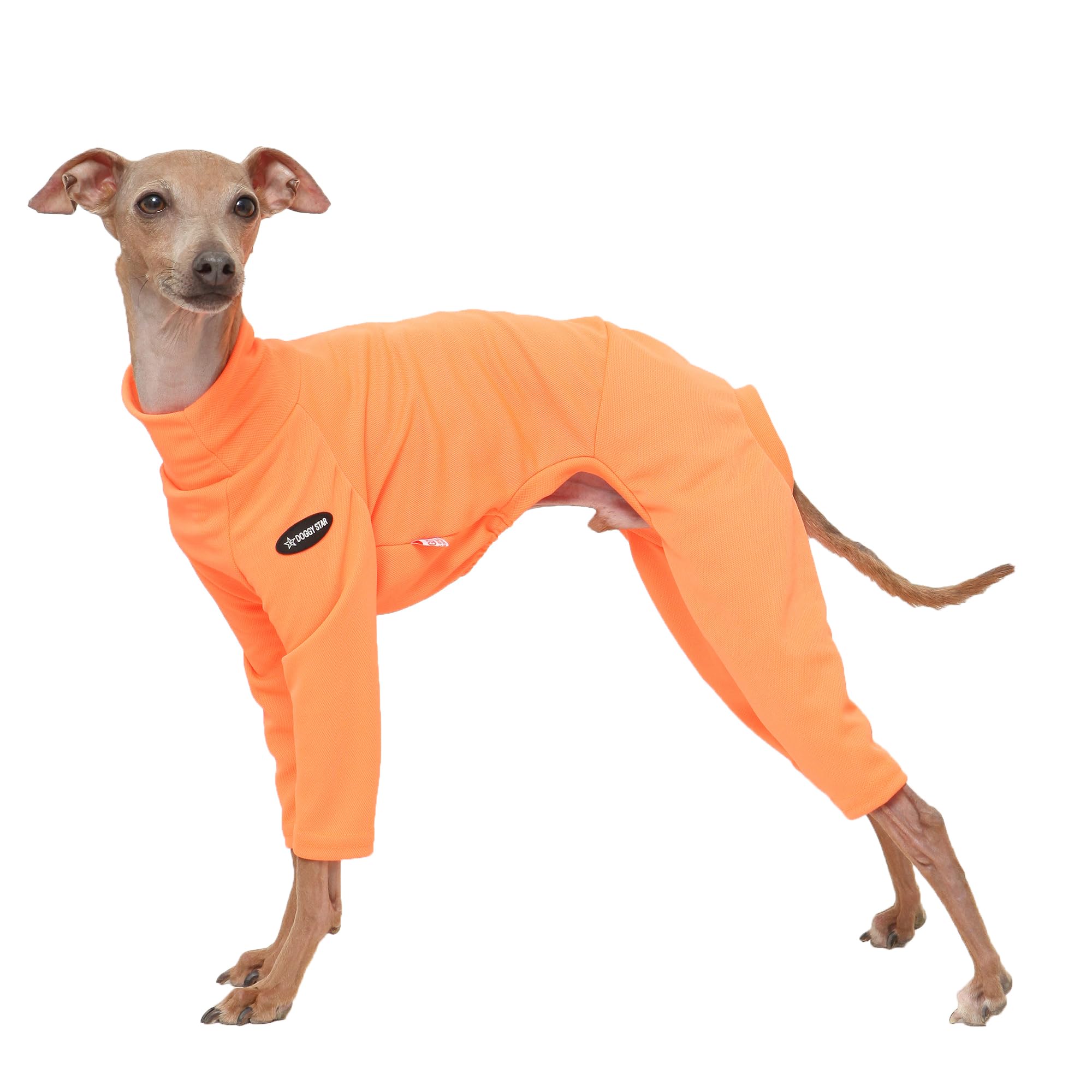 D Doggy Star Italian Greyhound Clothes Strechy Neon Onsie Spring Summer (Xl,Onsi Ne Orange)